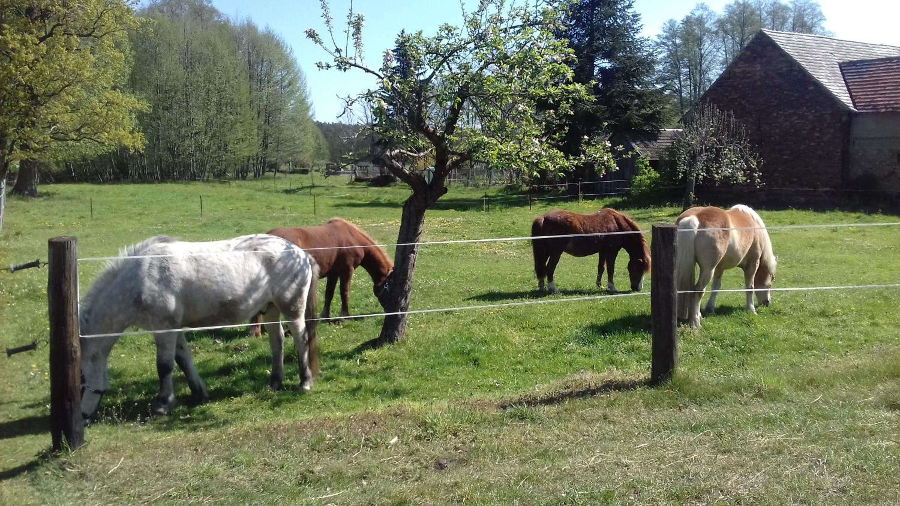 Ferienwohnung Wildau-Wentdorf