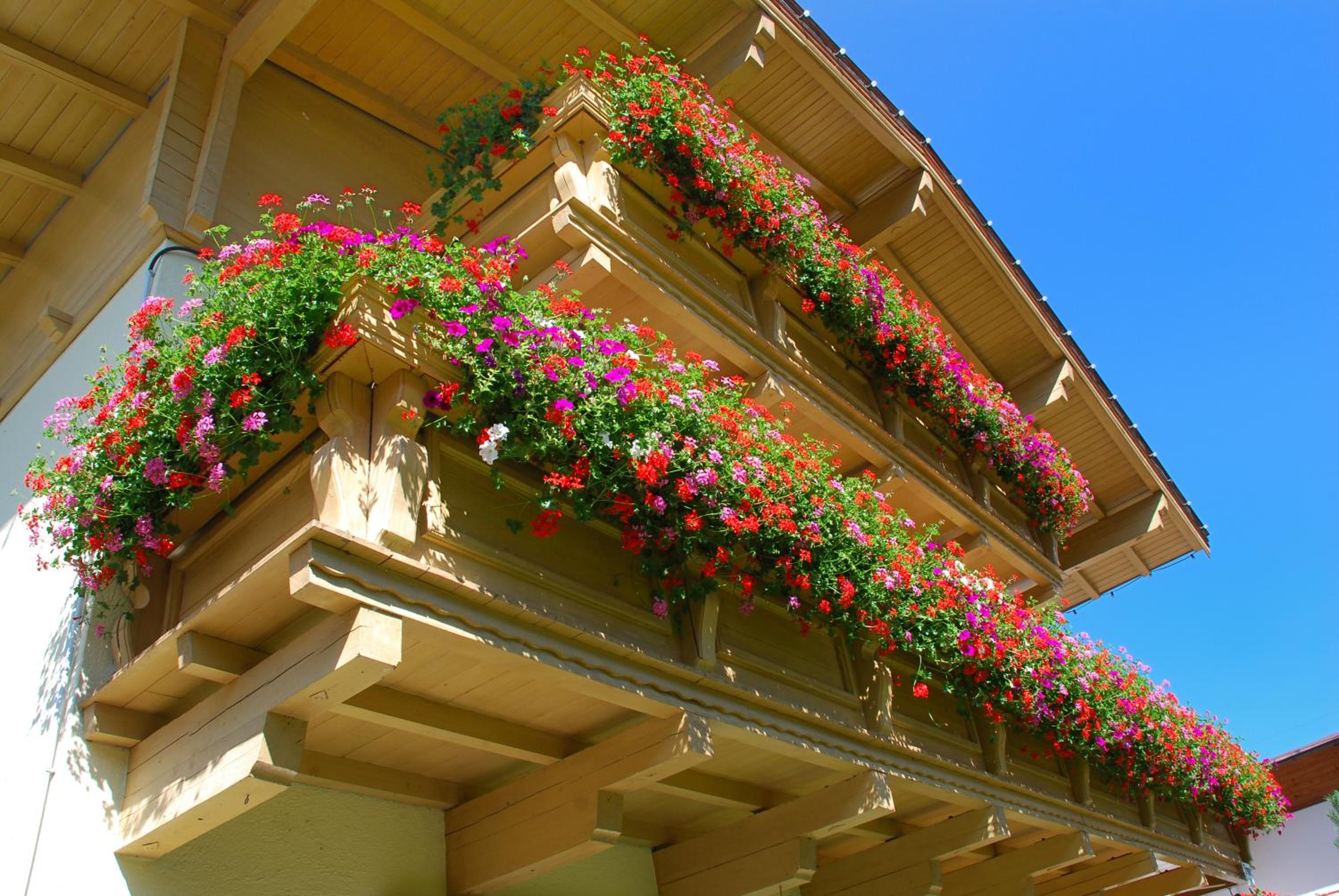 Pension Mirabelle