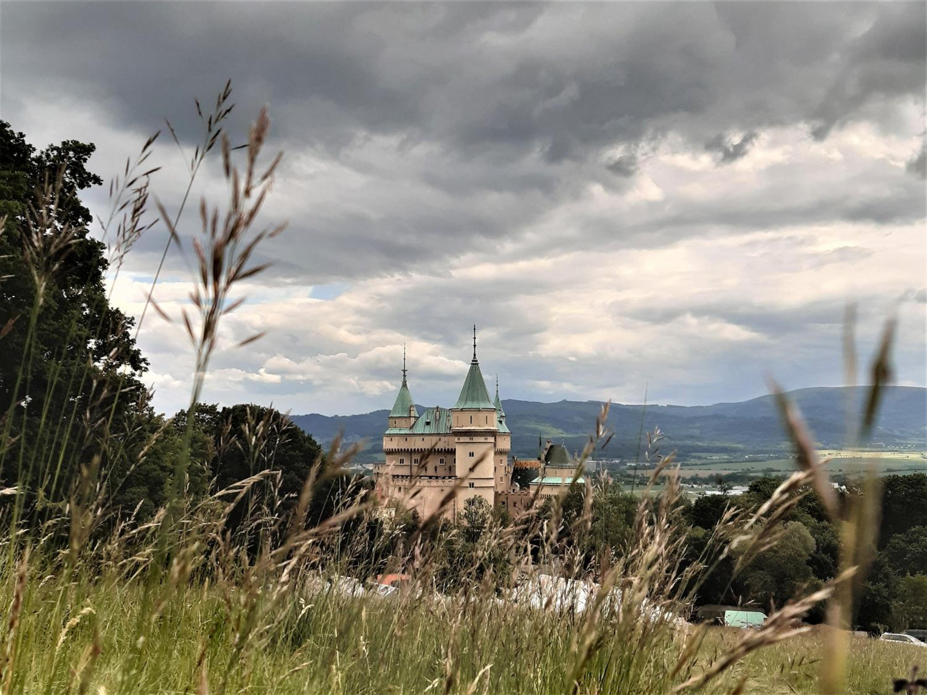 Photo 41
