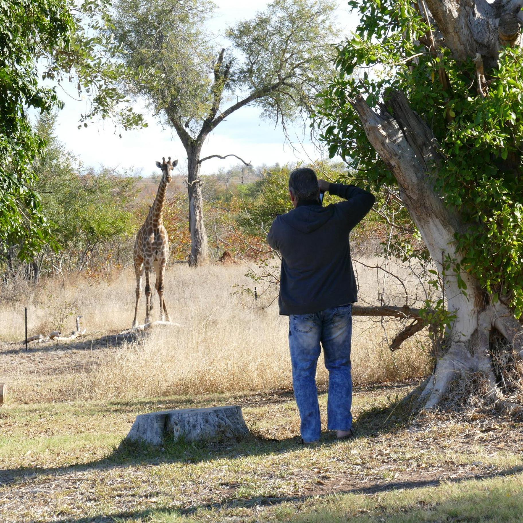 Adonsonia Lodge view 3