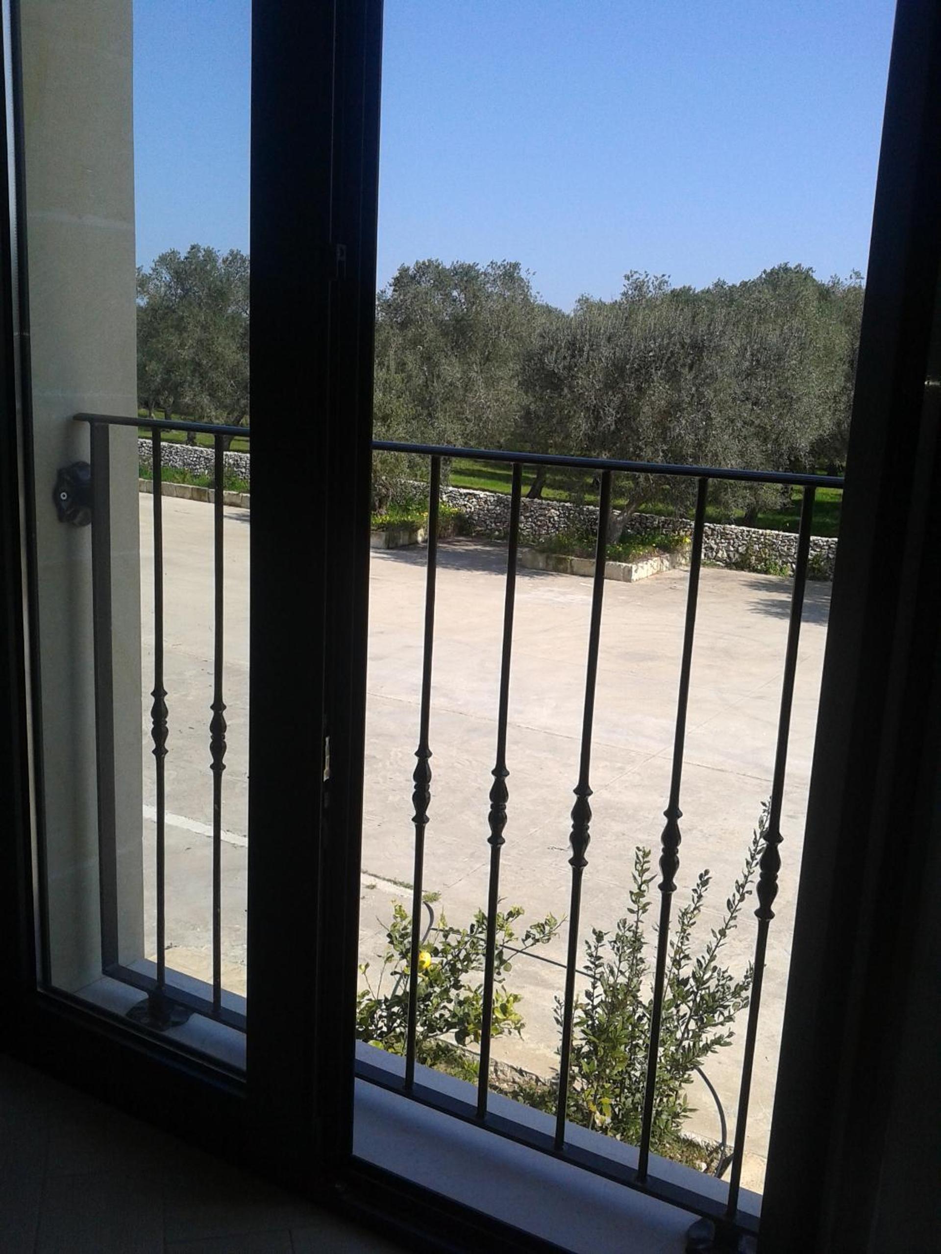 Photo 43