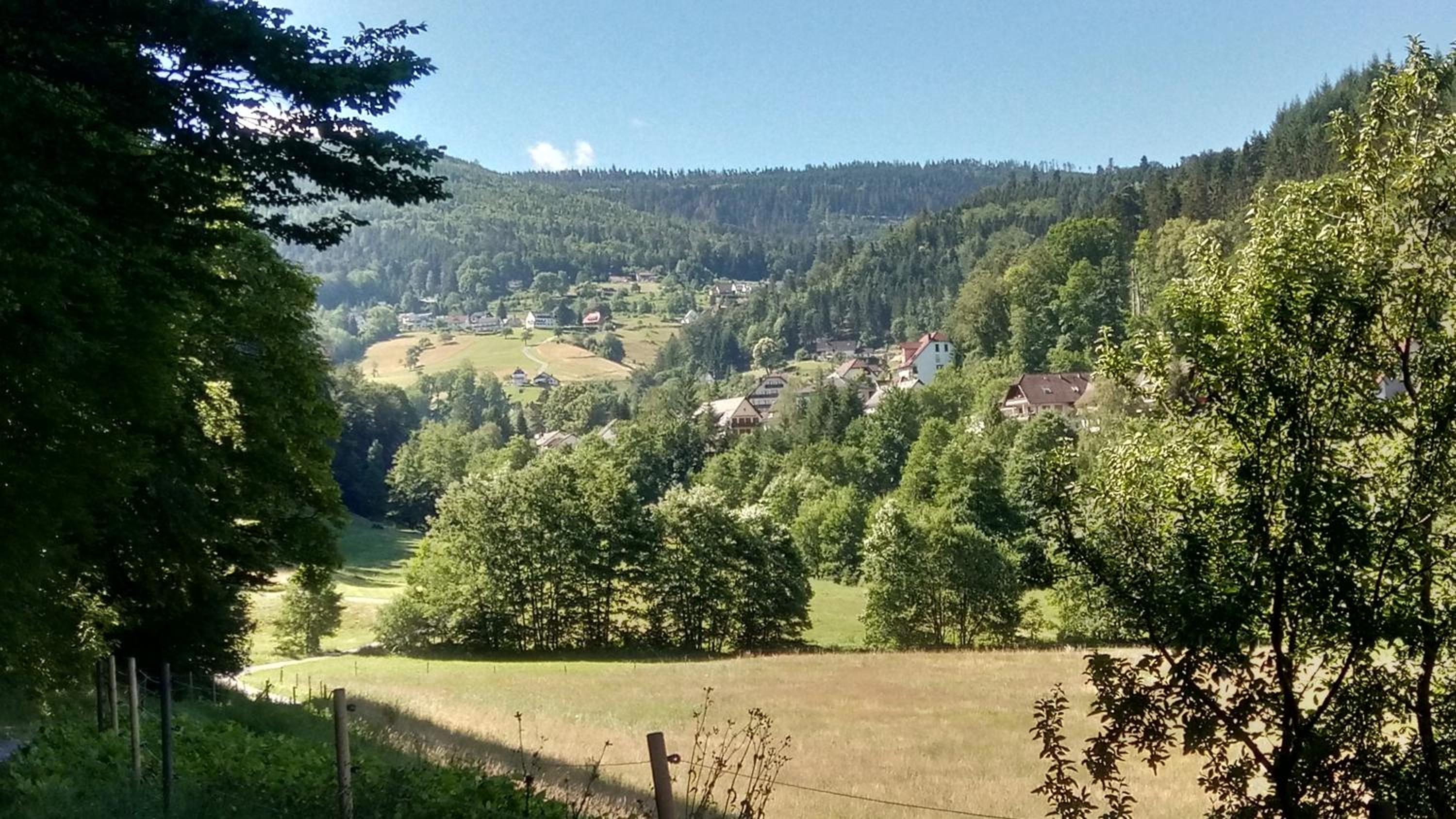 Alb-Rosa view 3
