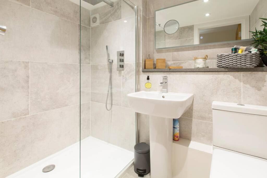 New Loos Cottage, Old School Court view 4