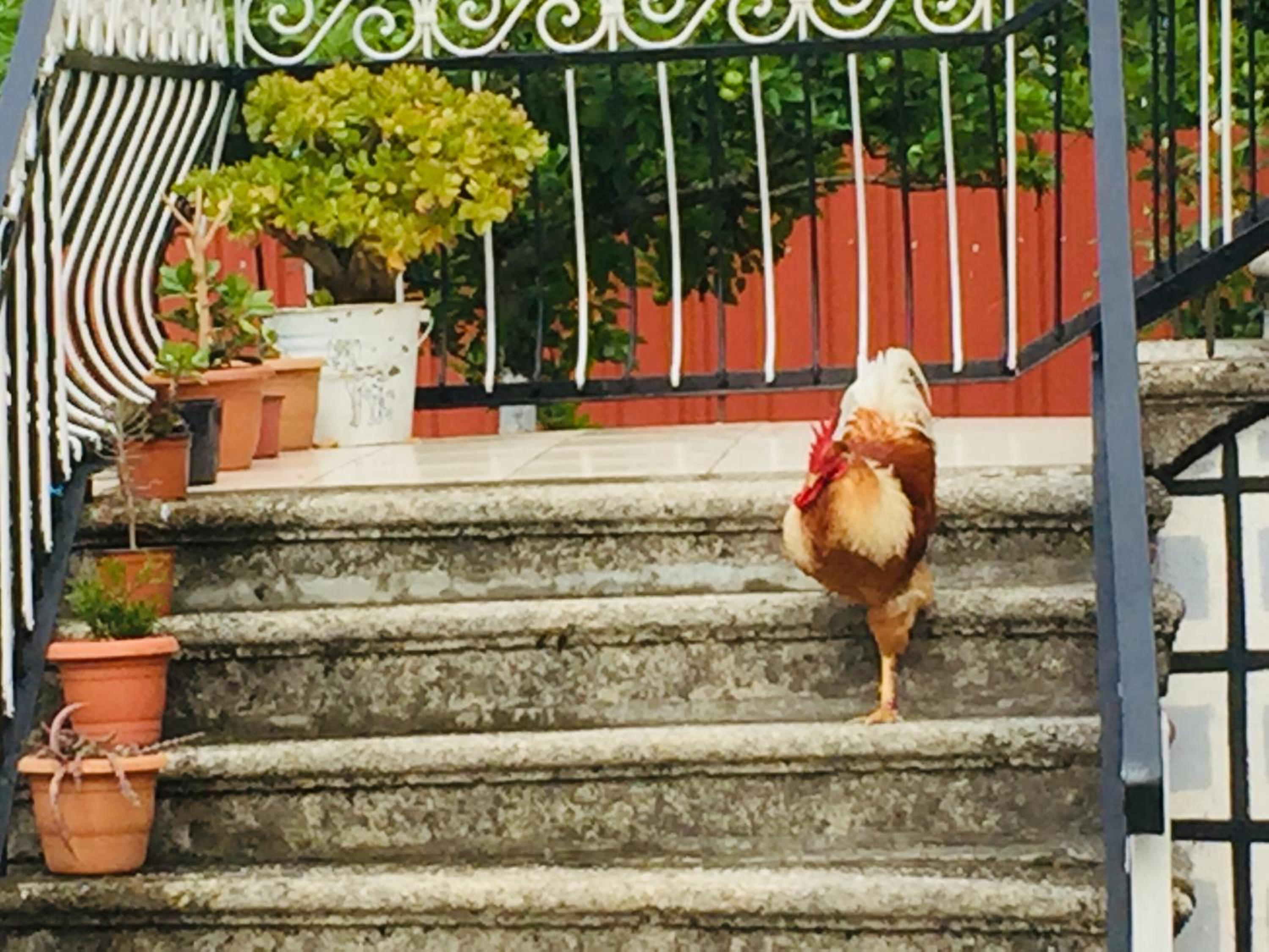 Lazuri Keria Family Guesthouse