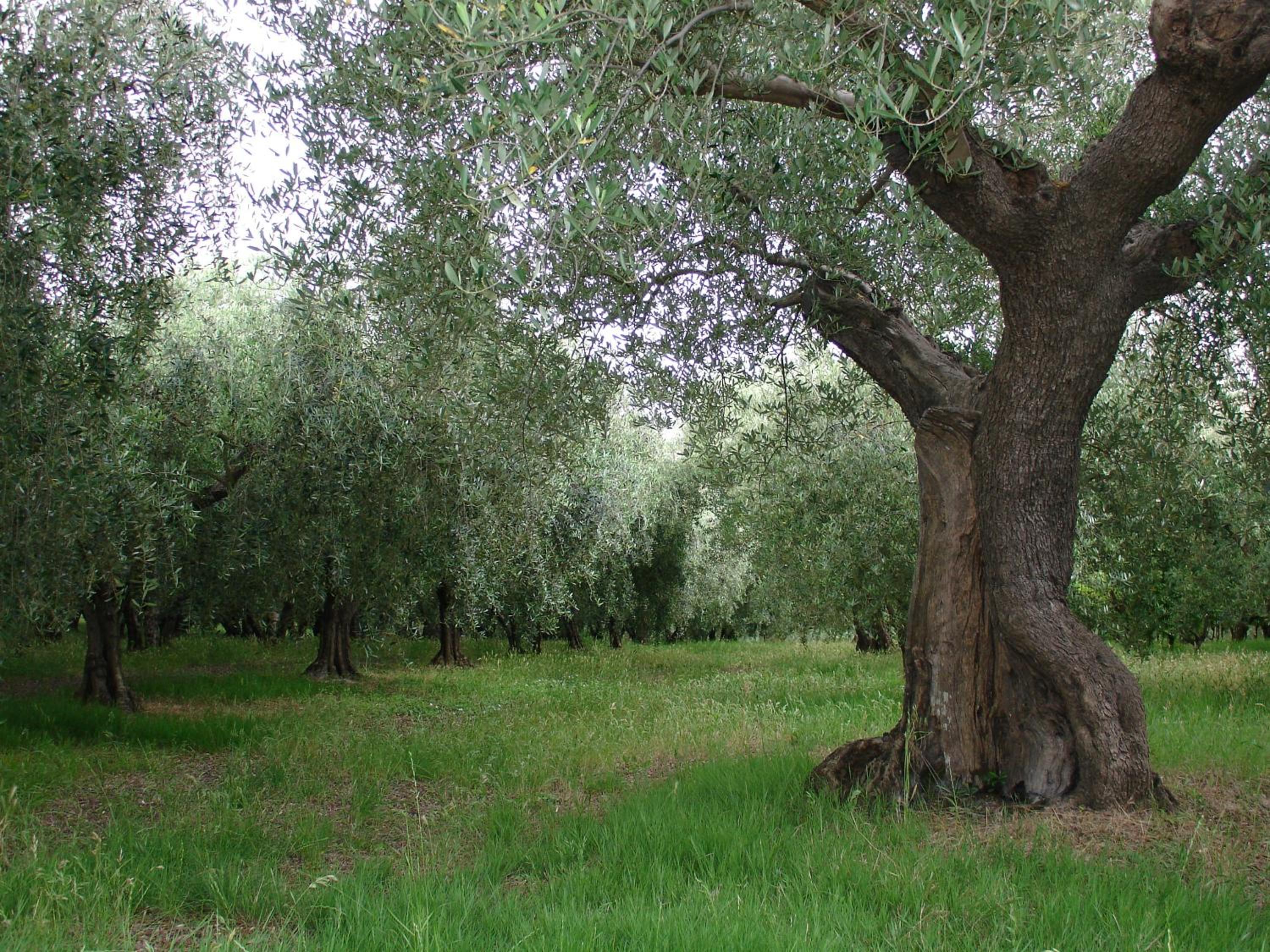 Agriturismo Al Crepuscolo