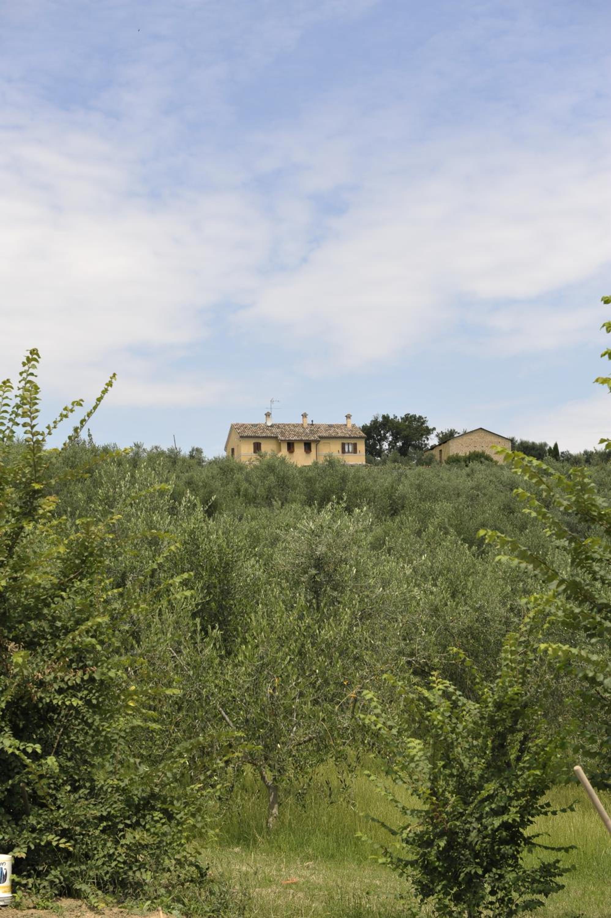 Agriturismo Al Crepuscolo