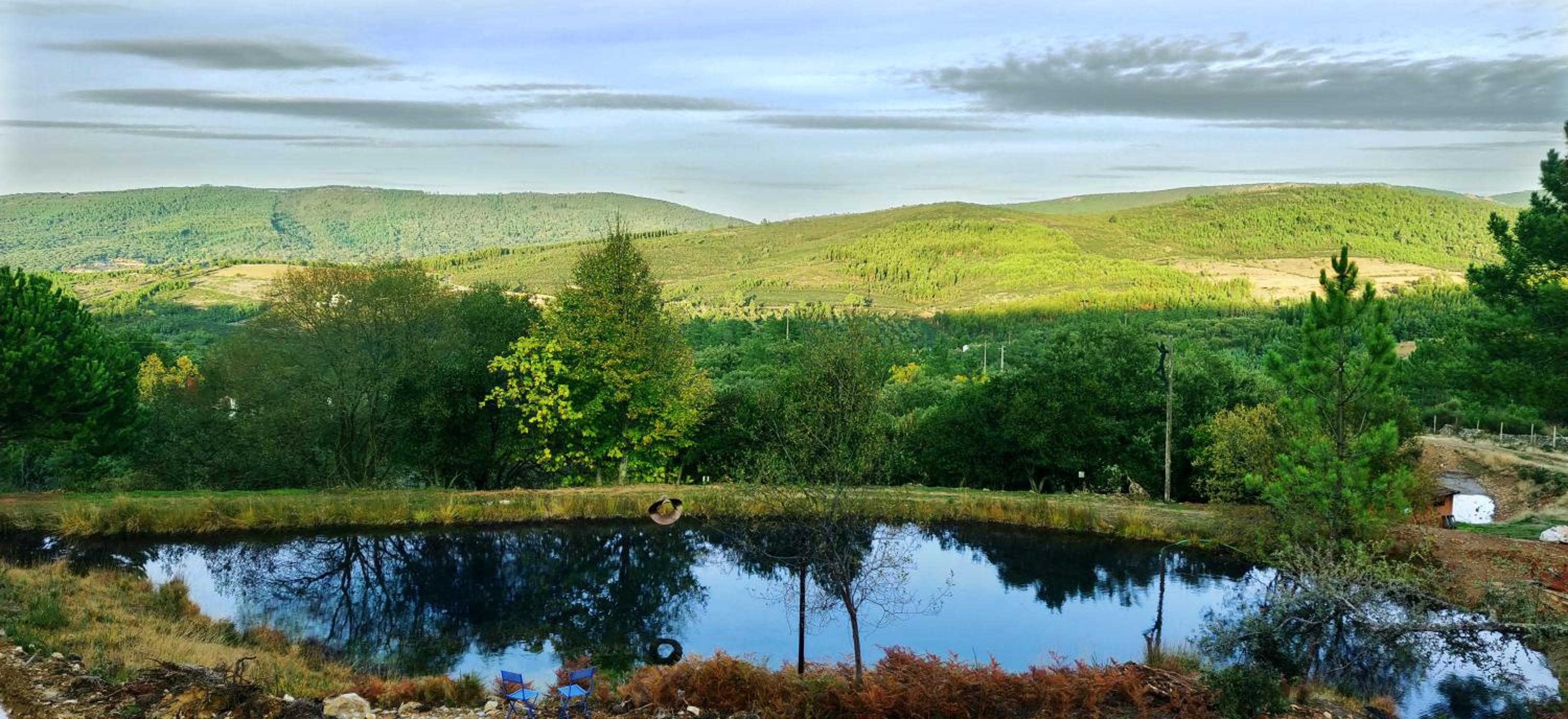 Quinta do Barrieiro - Art Selection by Maria Leal da Costa view 5