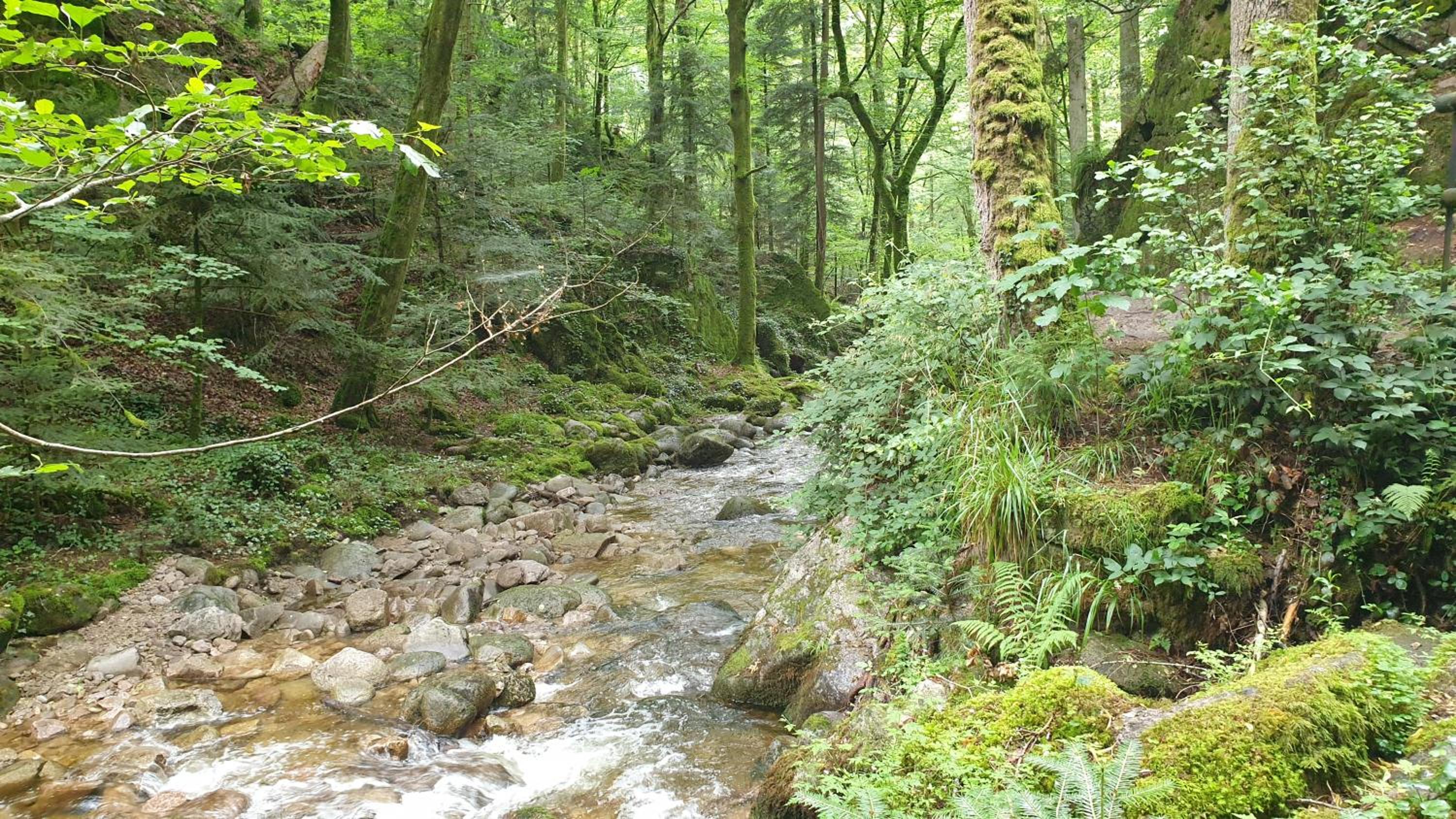 Photo 20