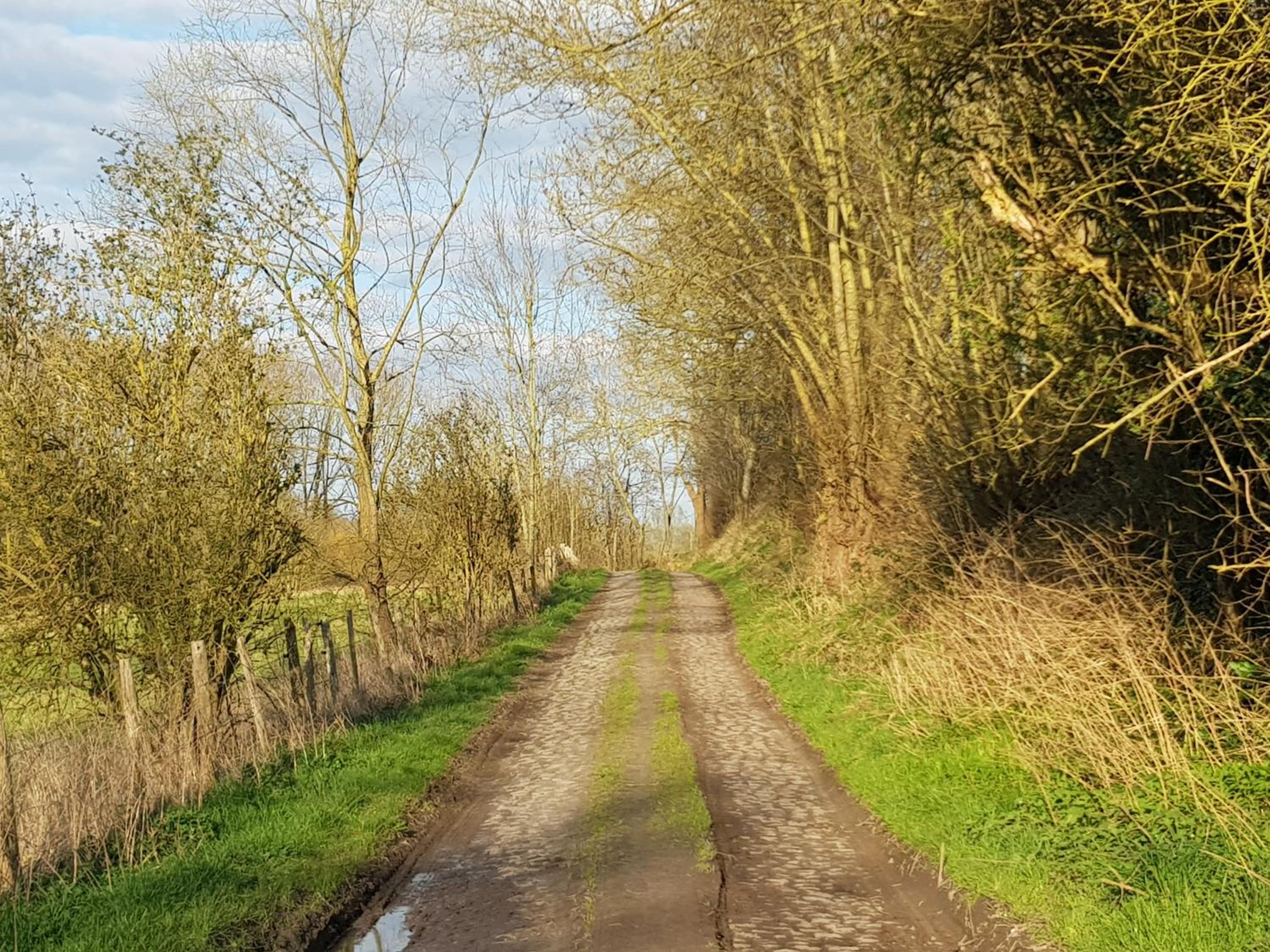 Boslucht Leuven