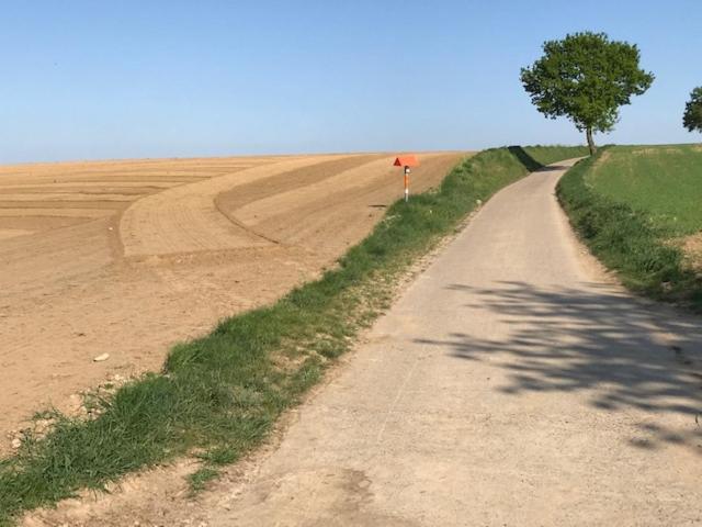 Boslucht Leuven