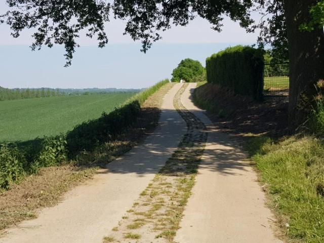 Boslucht Leuven