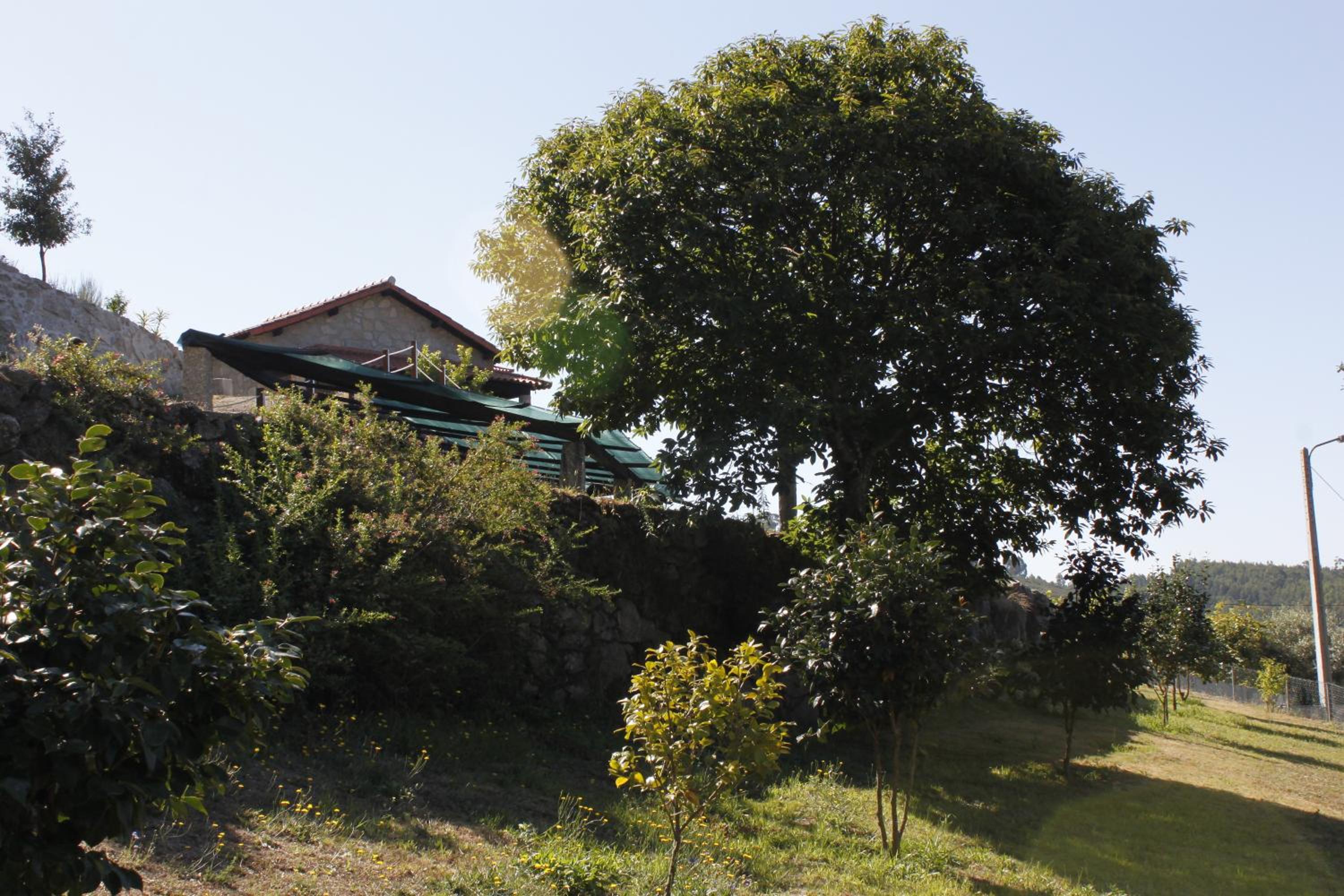 Photo 30