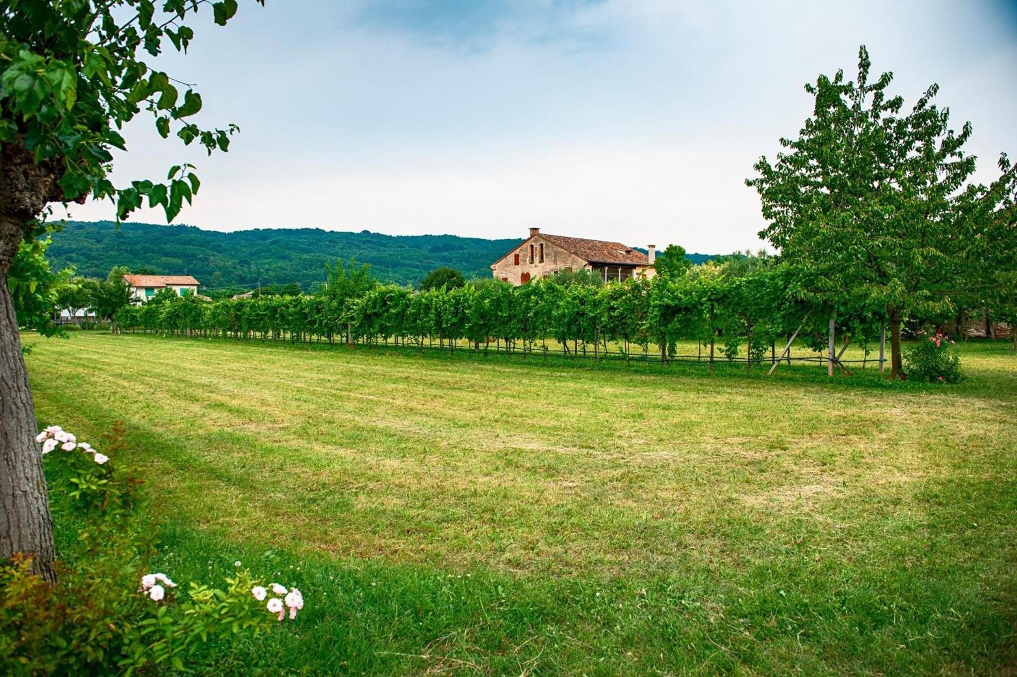 Casa Dal Zotto view 2