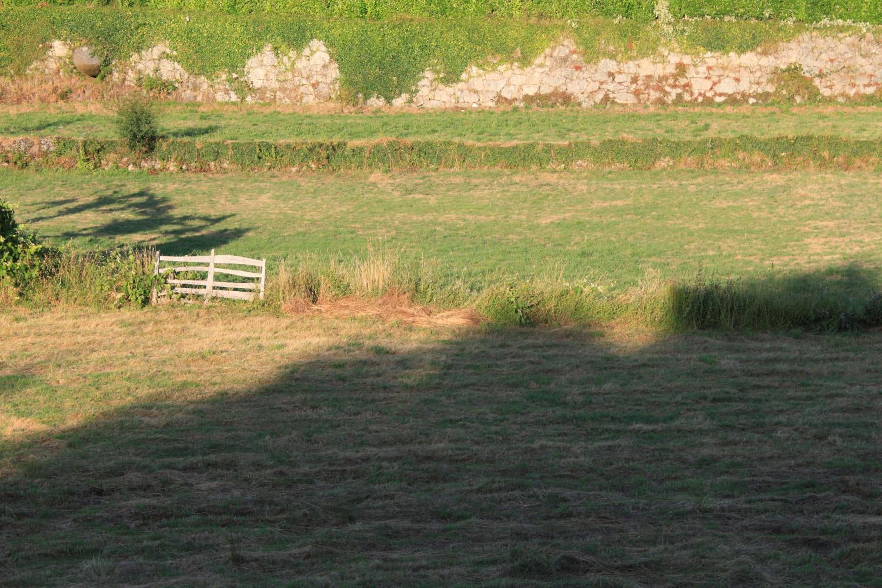 Photo 32