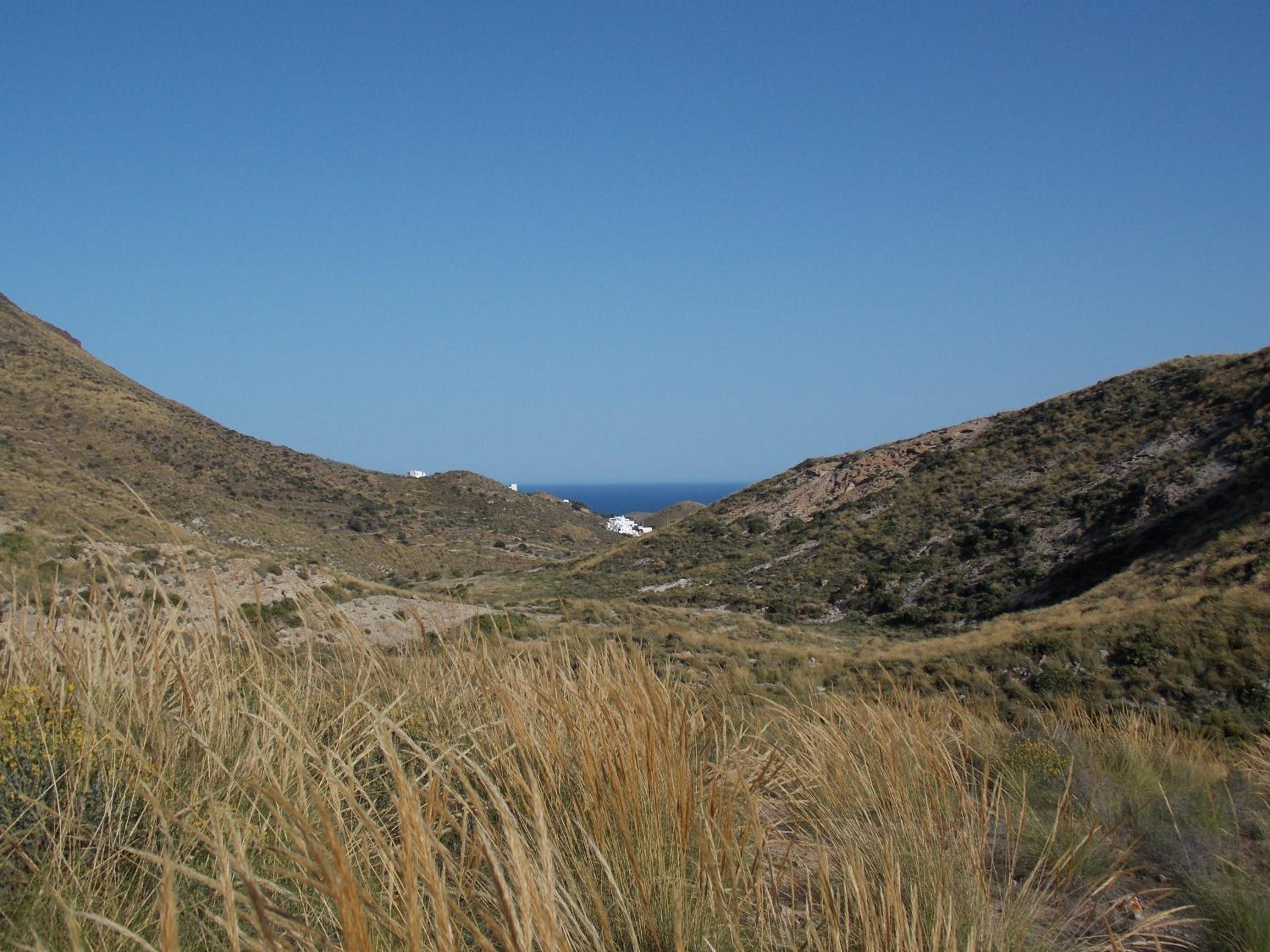 Photo 43