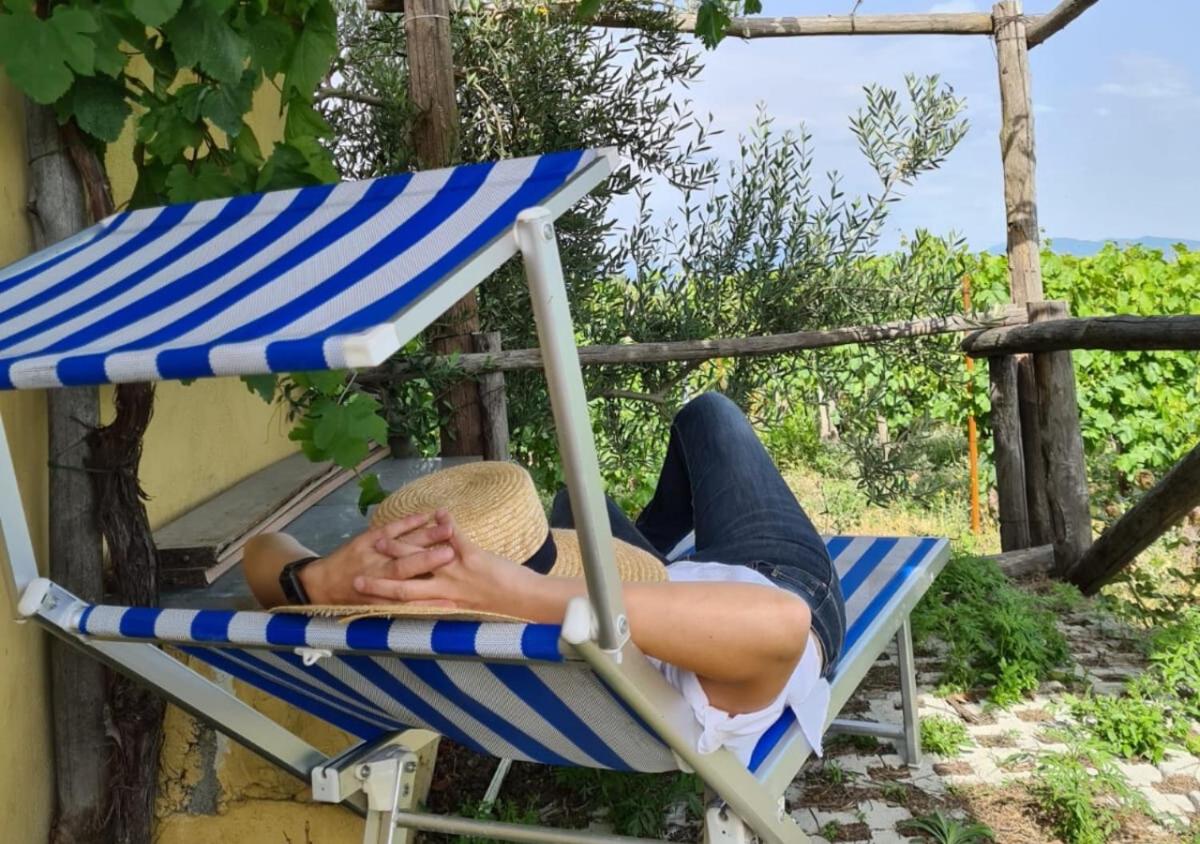 Vesuvio Inn Guest House e Wine Experience