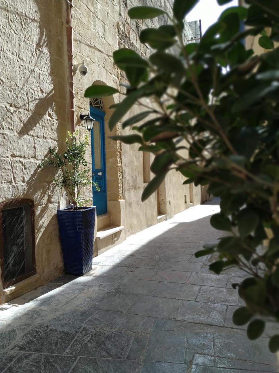 Photo 43
