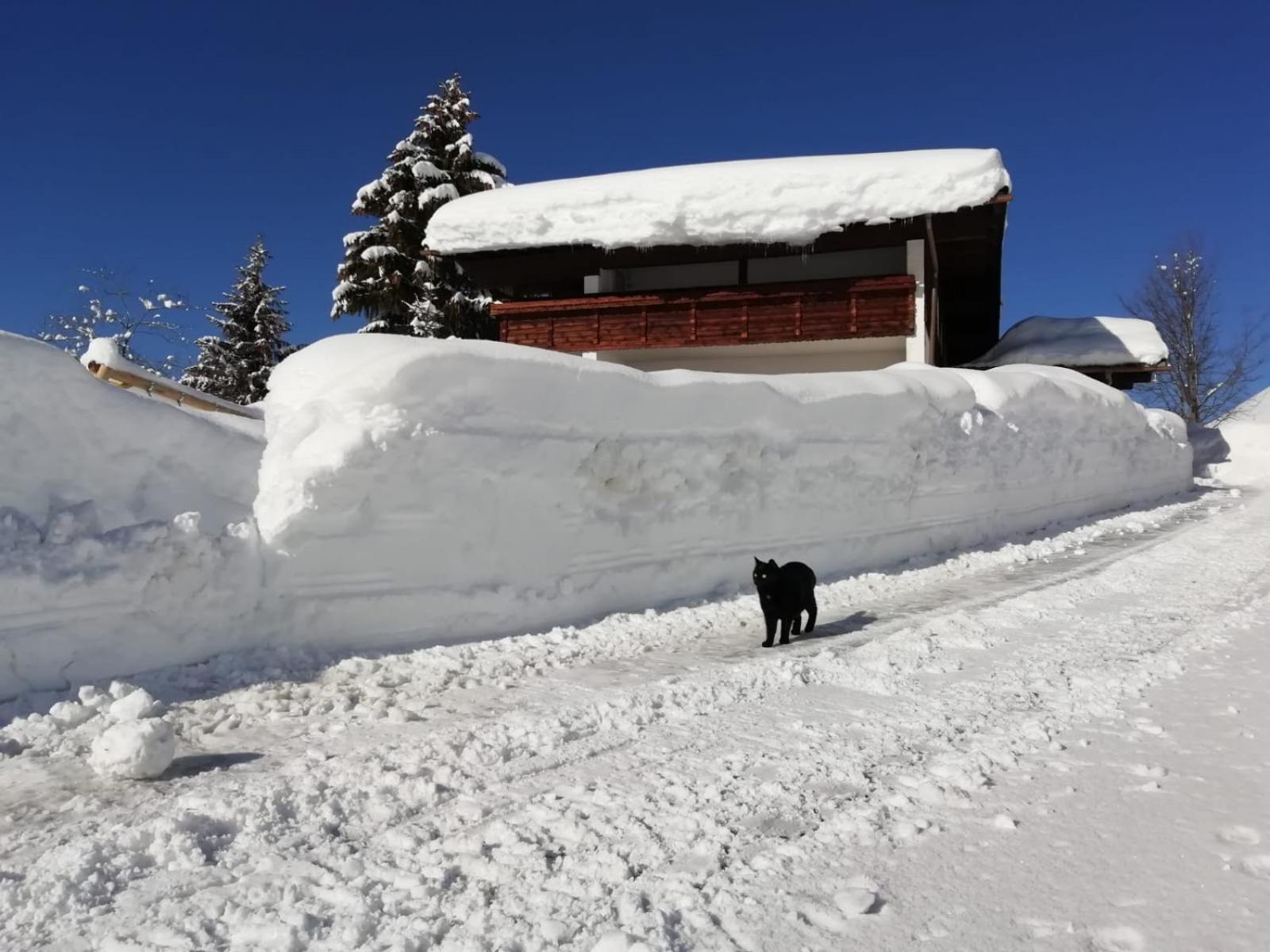 Ferienhaus Zech