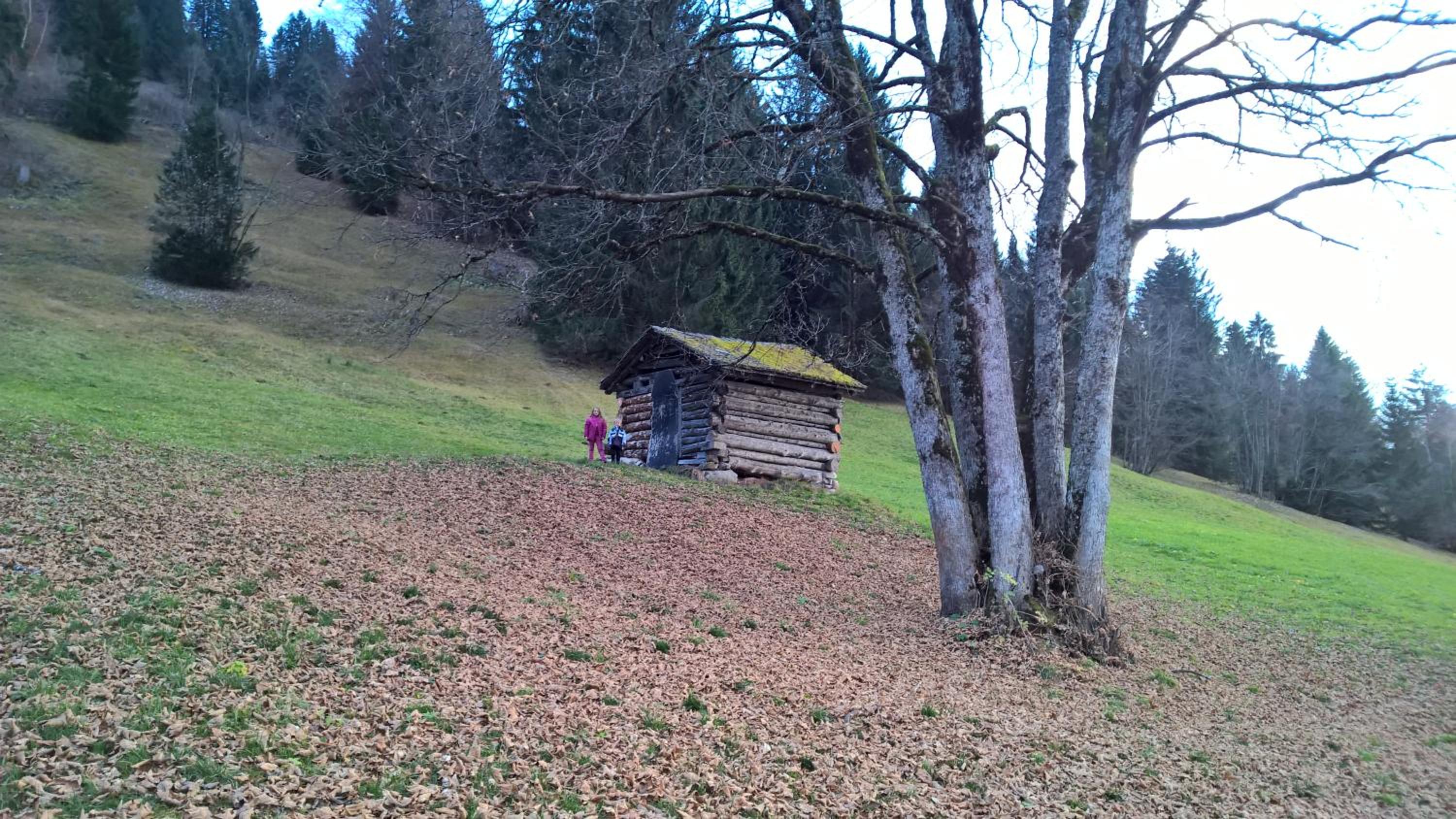 Ferienhaus Zech