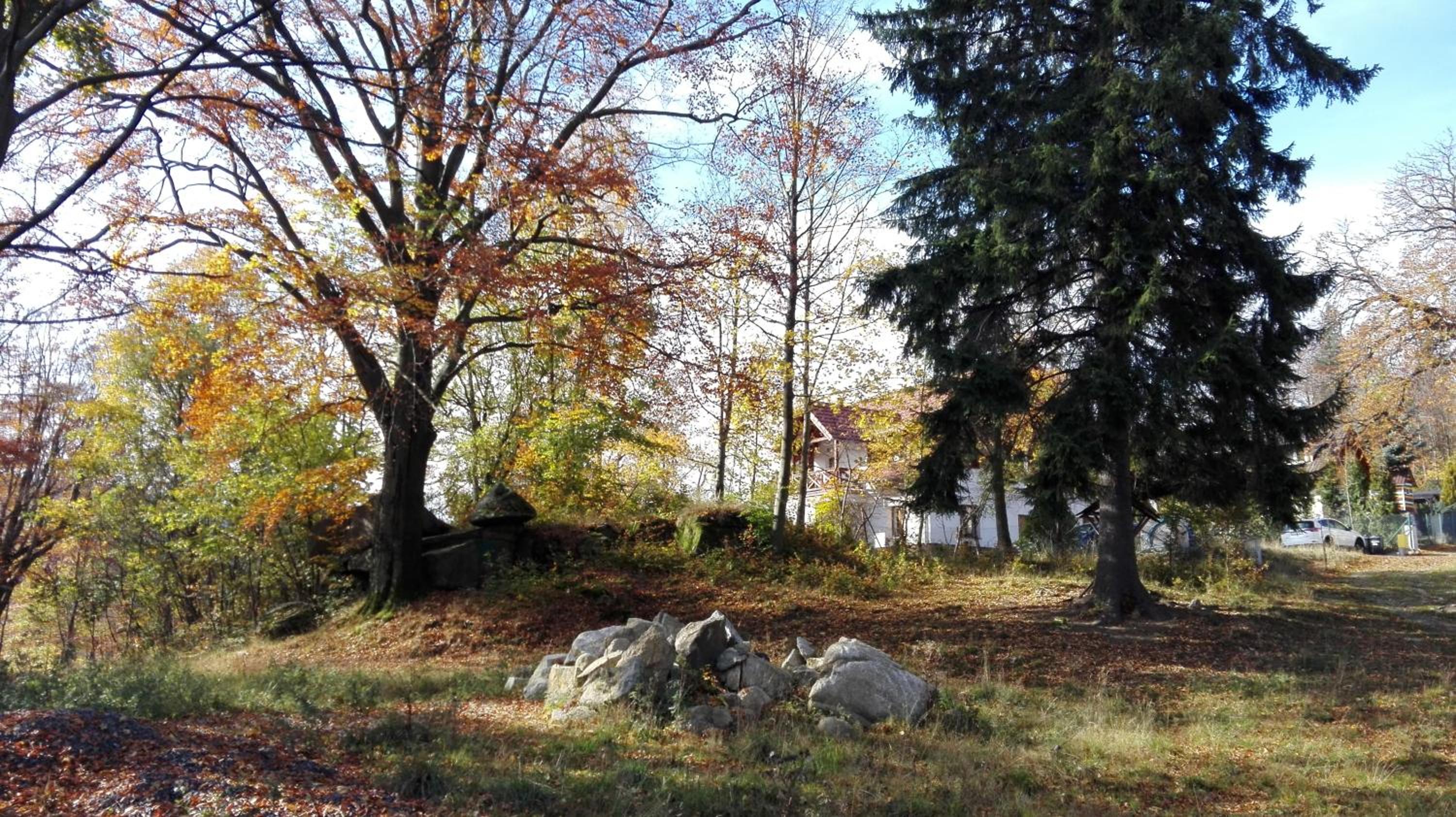 Photo 43