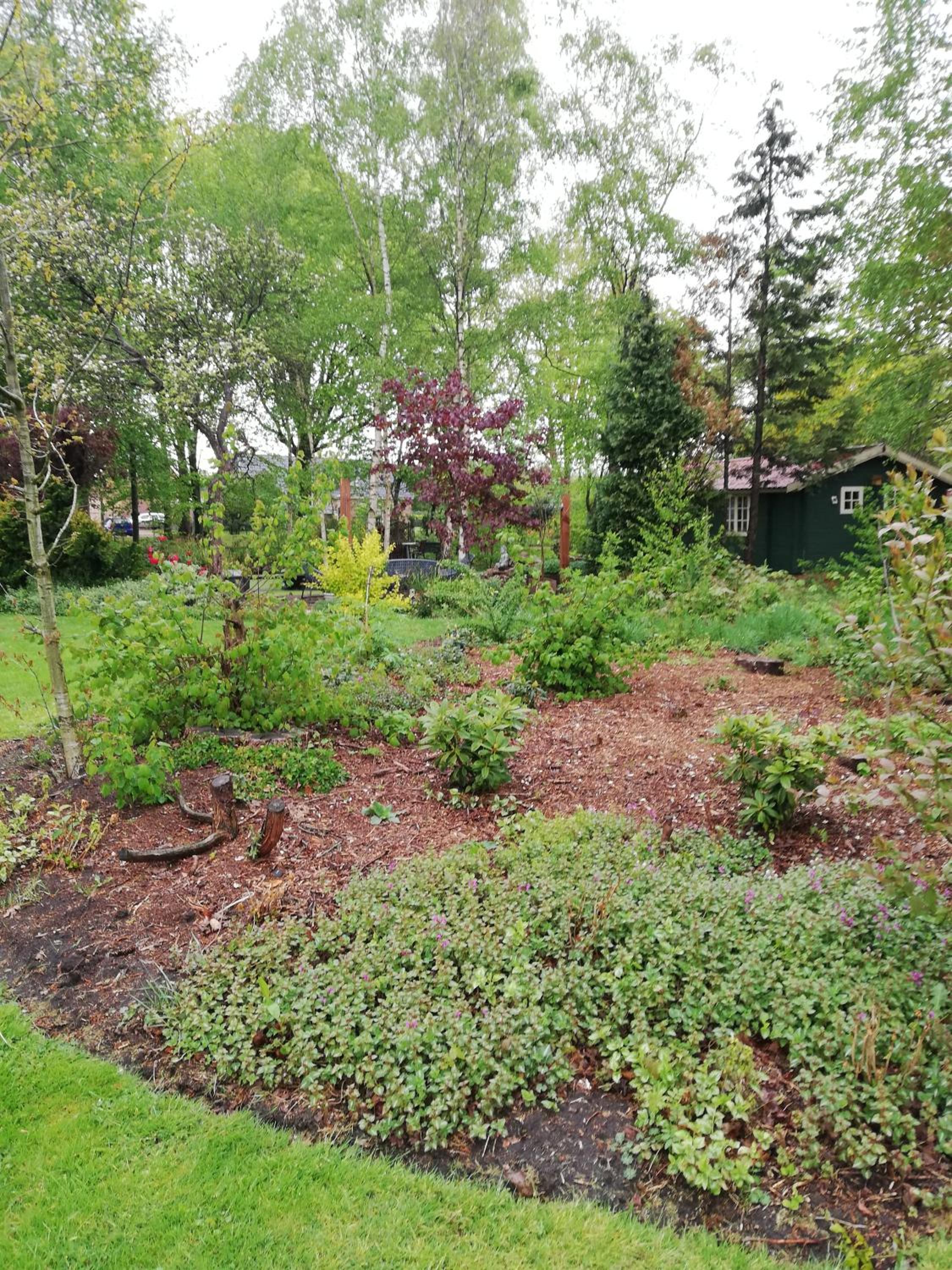 Photo 18