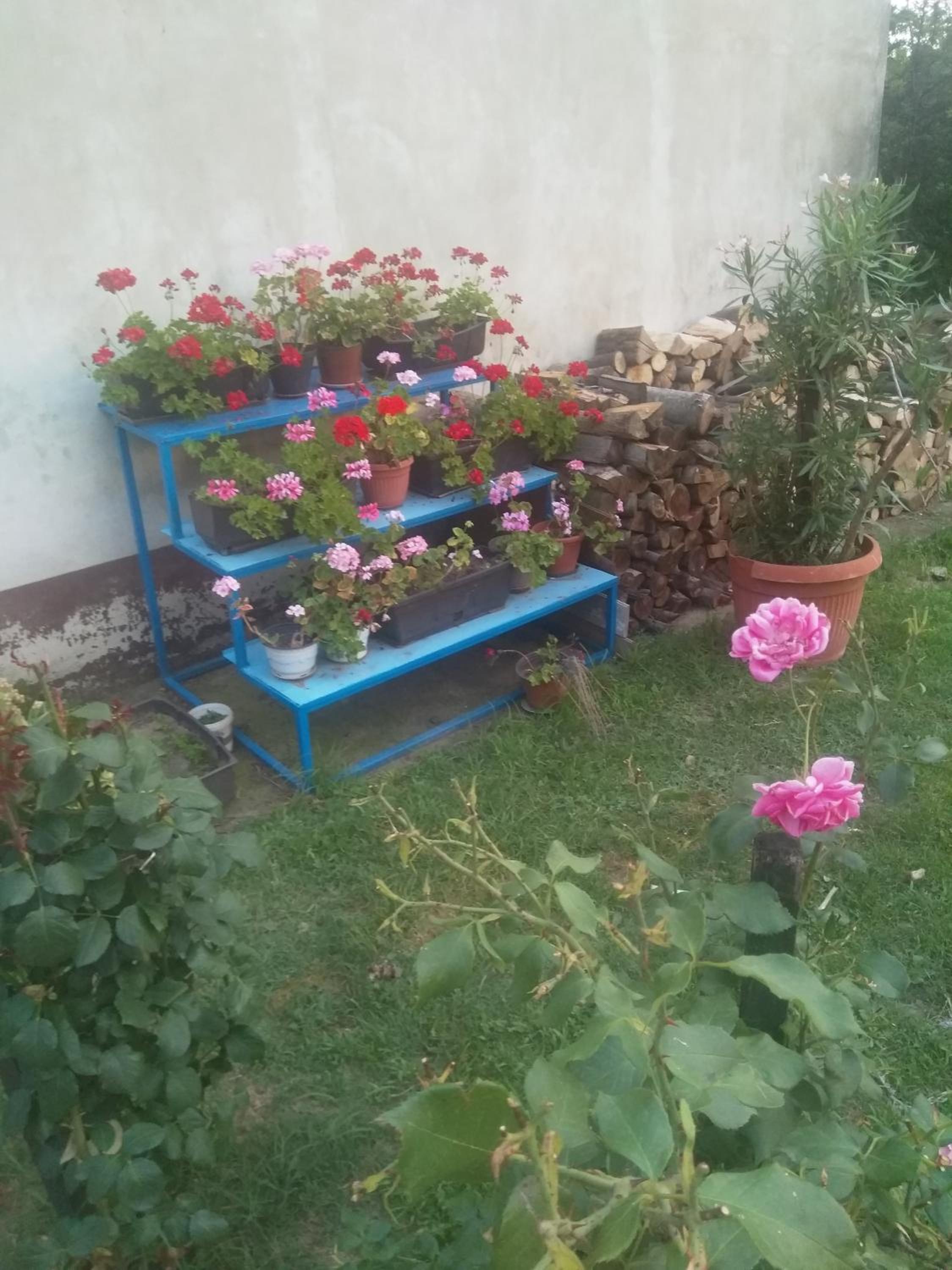 Photo 13