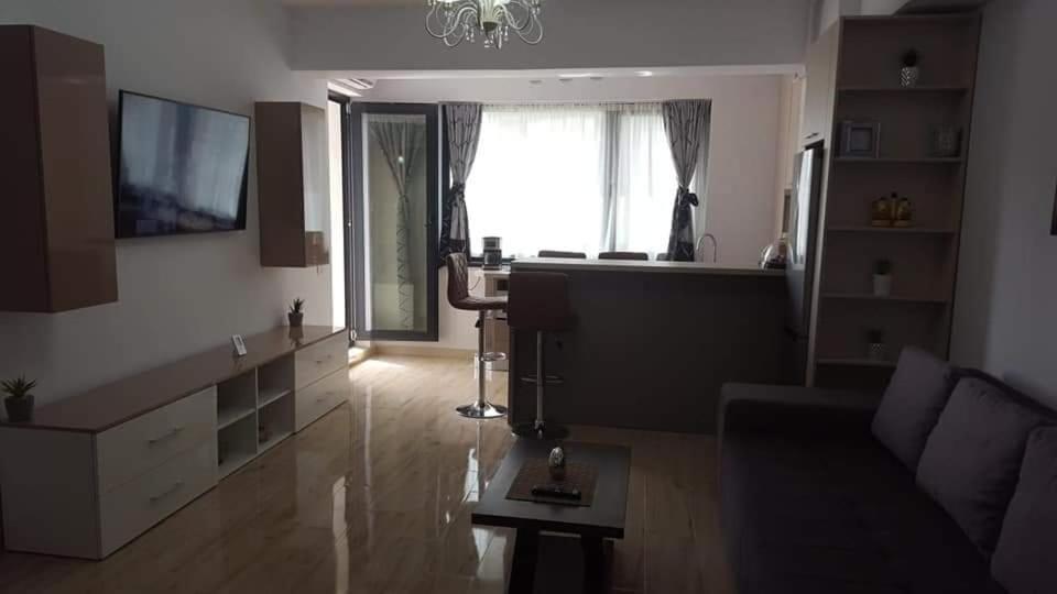 Apartament Camelia view 2