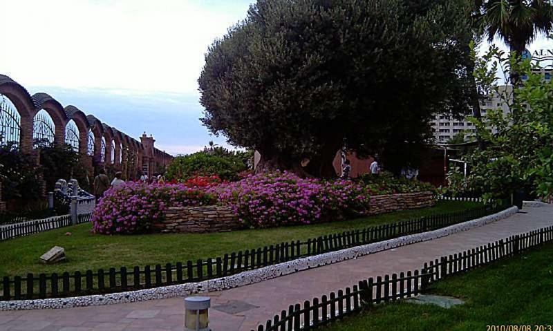 Photo 30