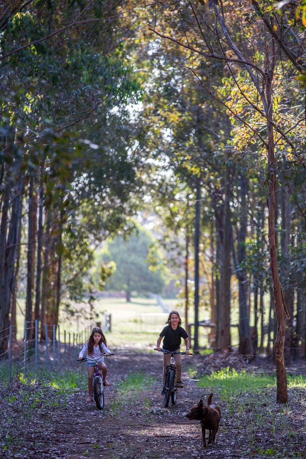 Redgate Forest Retreat