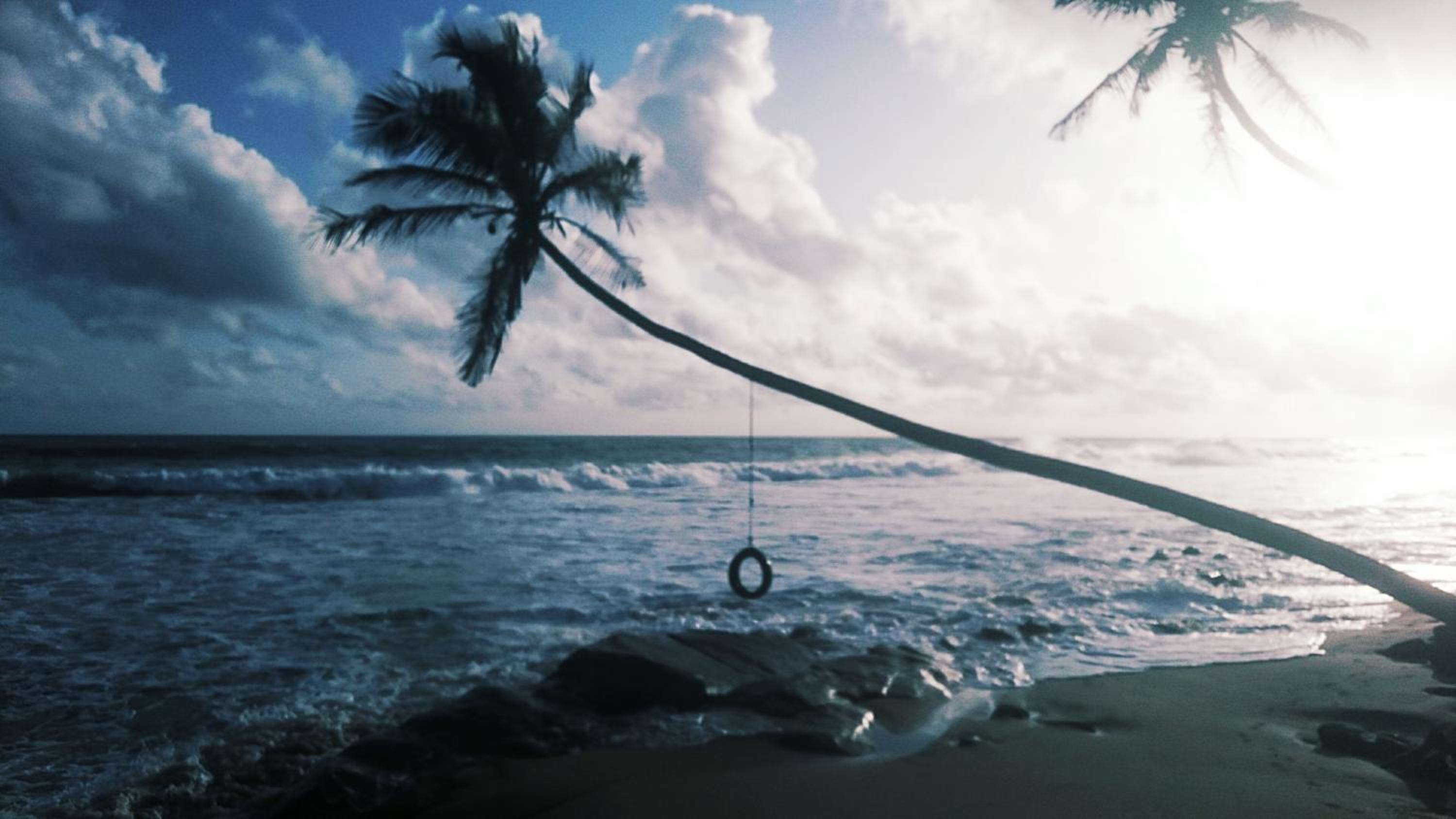 Photo 36