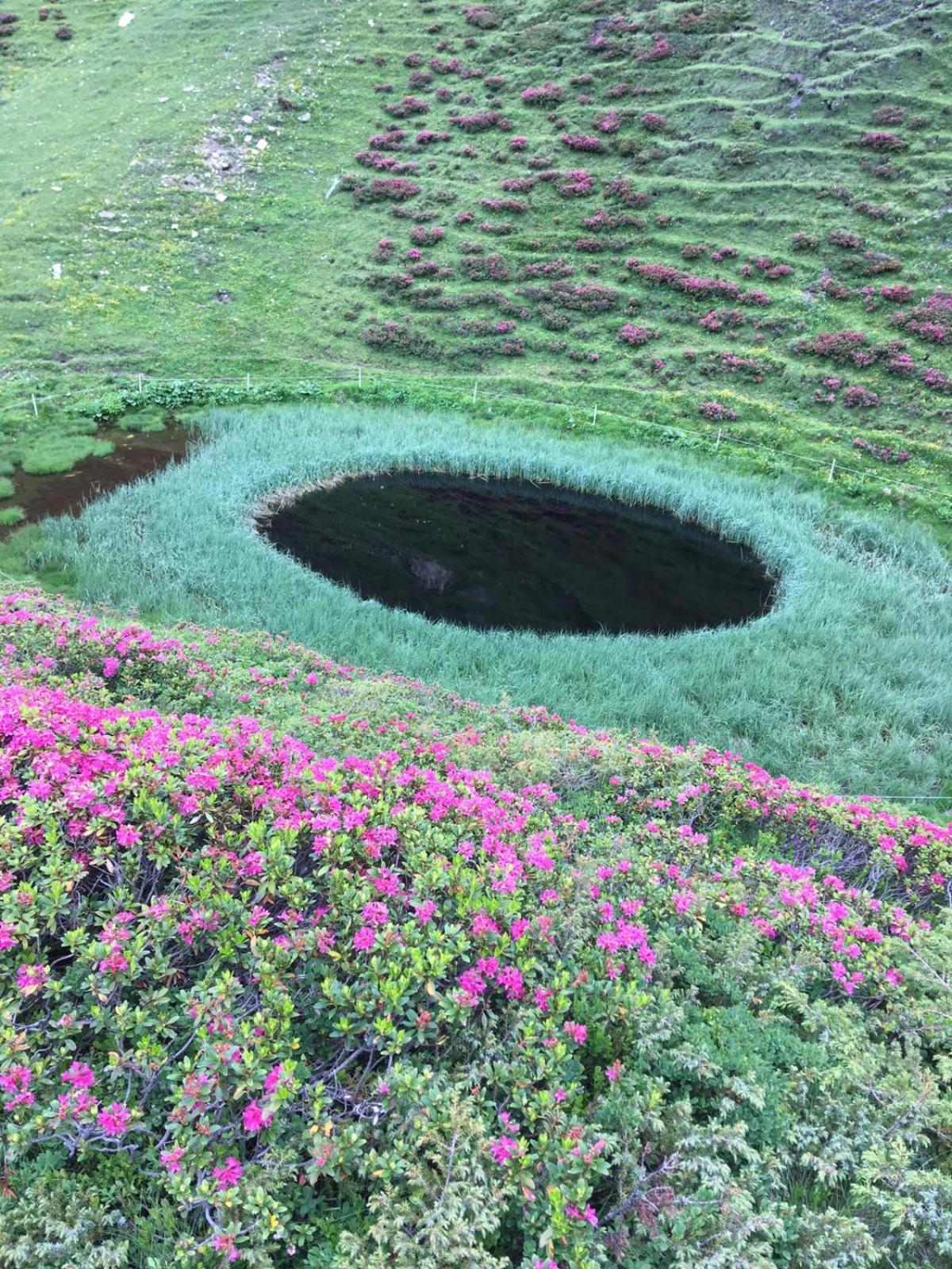 Pension Fürhapter mit Bio- Bauernhof