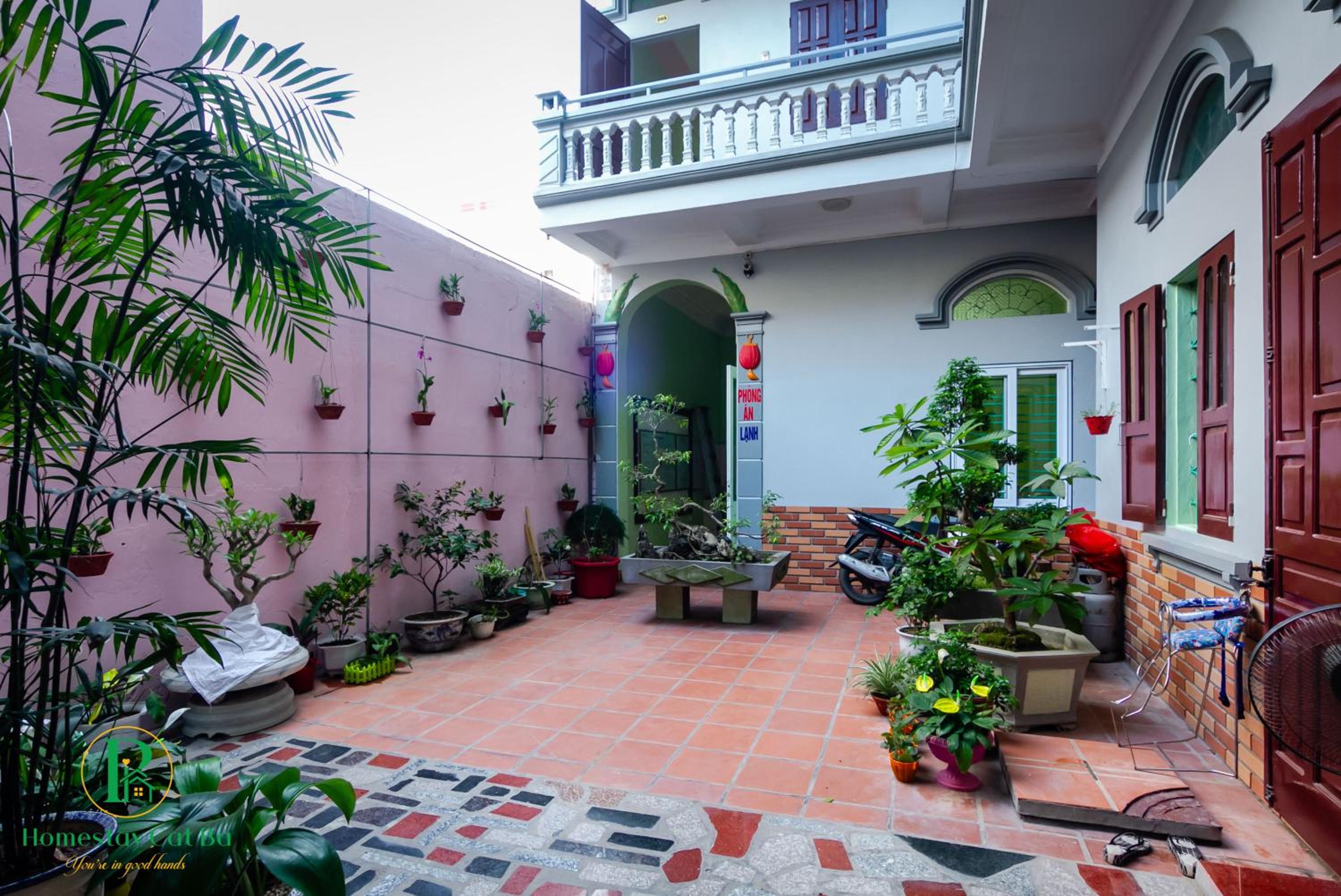 Pi's Homestay CatBa view 3