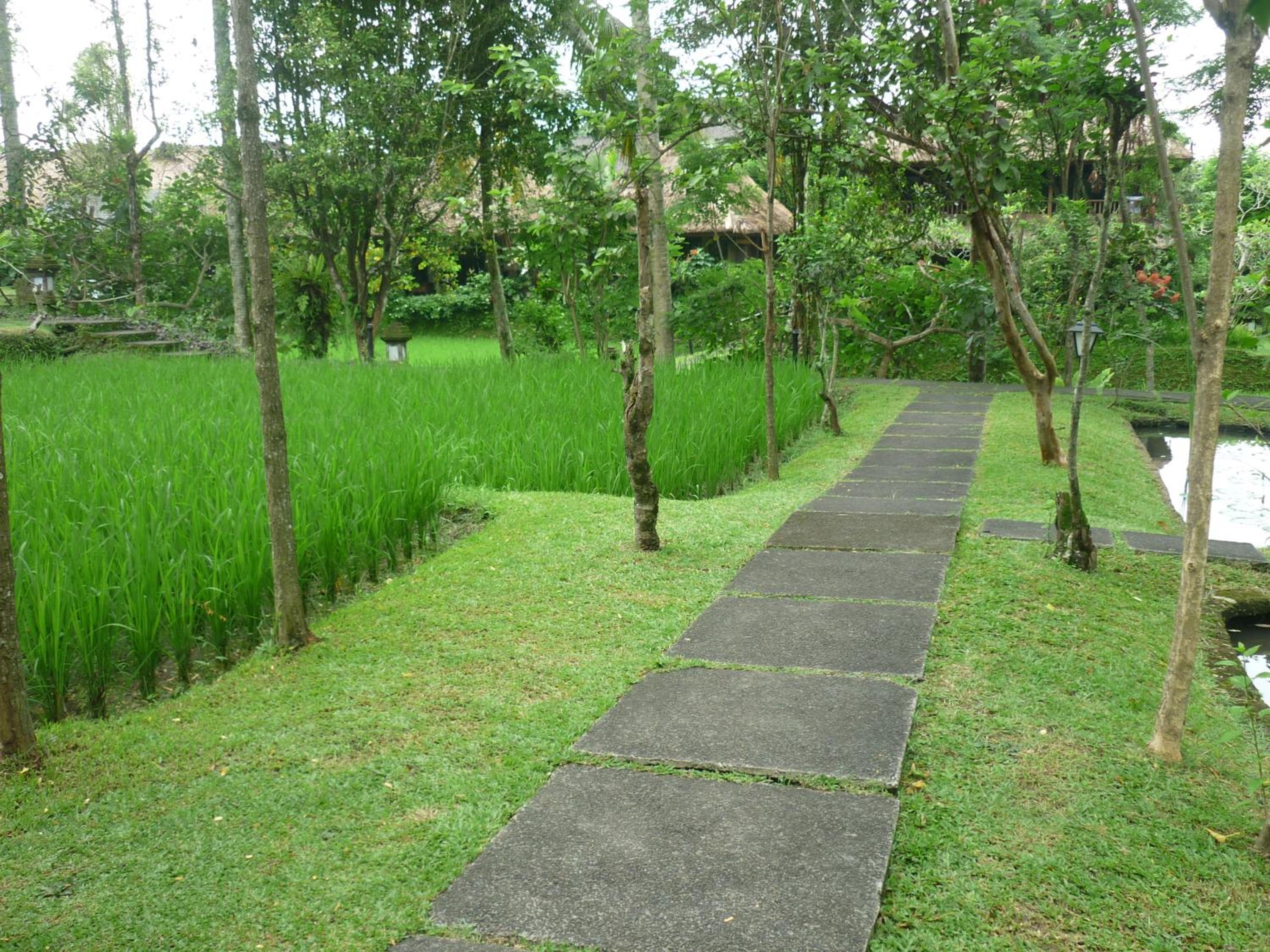 Photo 50