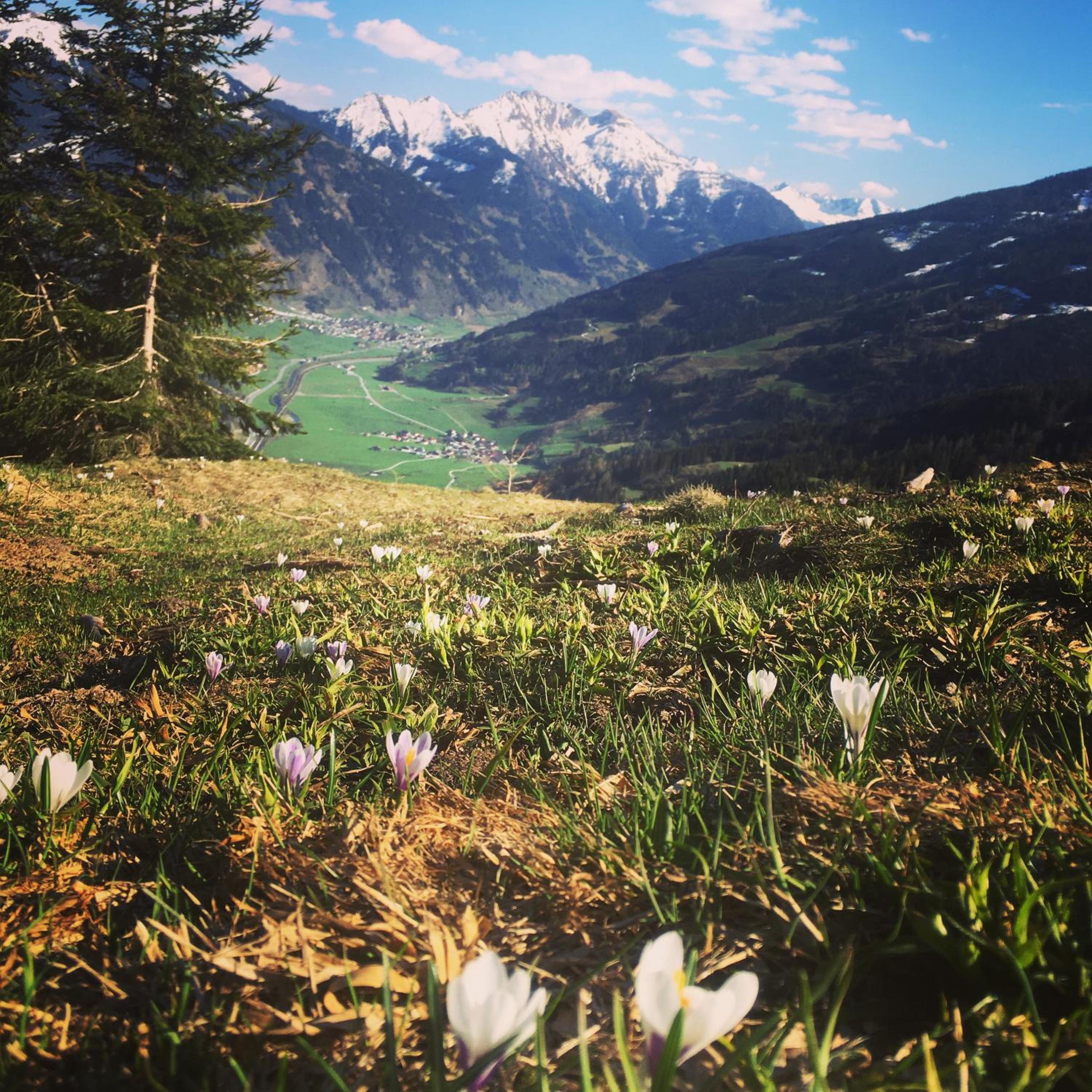 Chalet Franzi - Ruhiges Chalet mit Bergblick, Garten und gratis Eintritt ins Solarbad