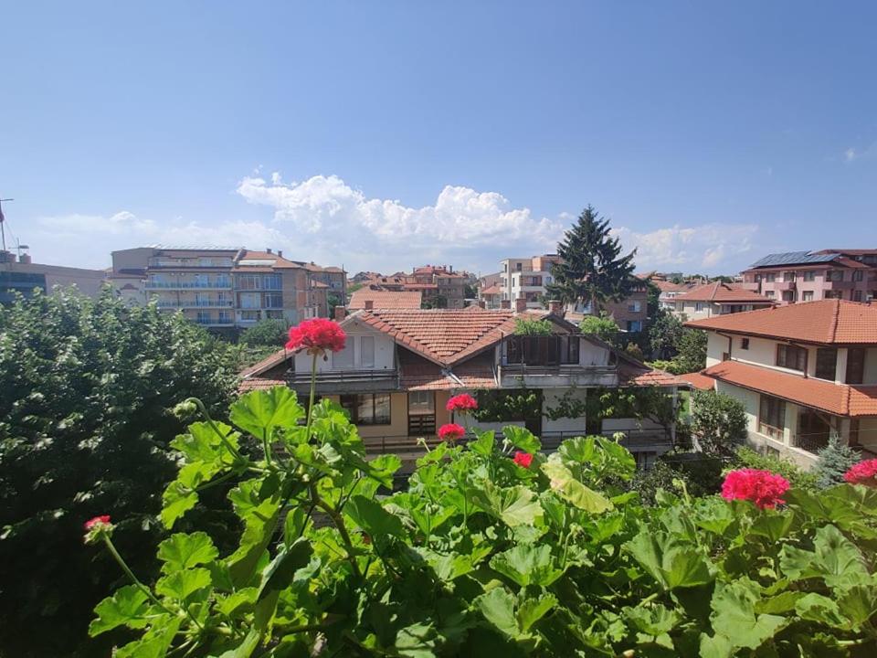 Art Villa Rozalia