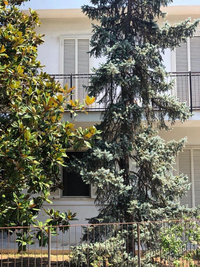 B&B Amendola en Bari — other