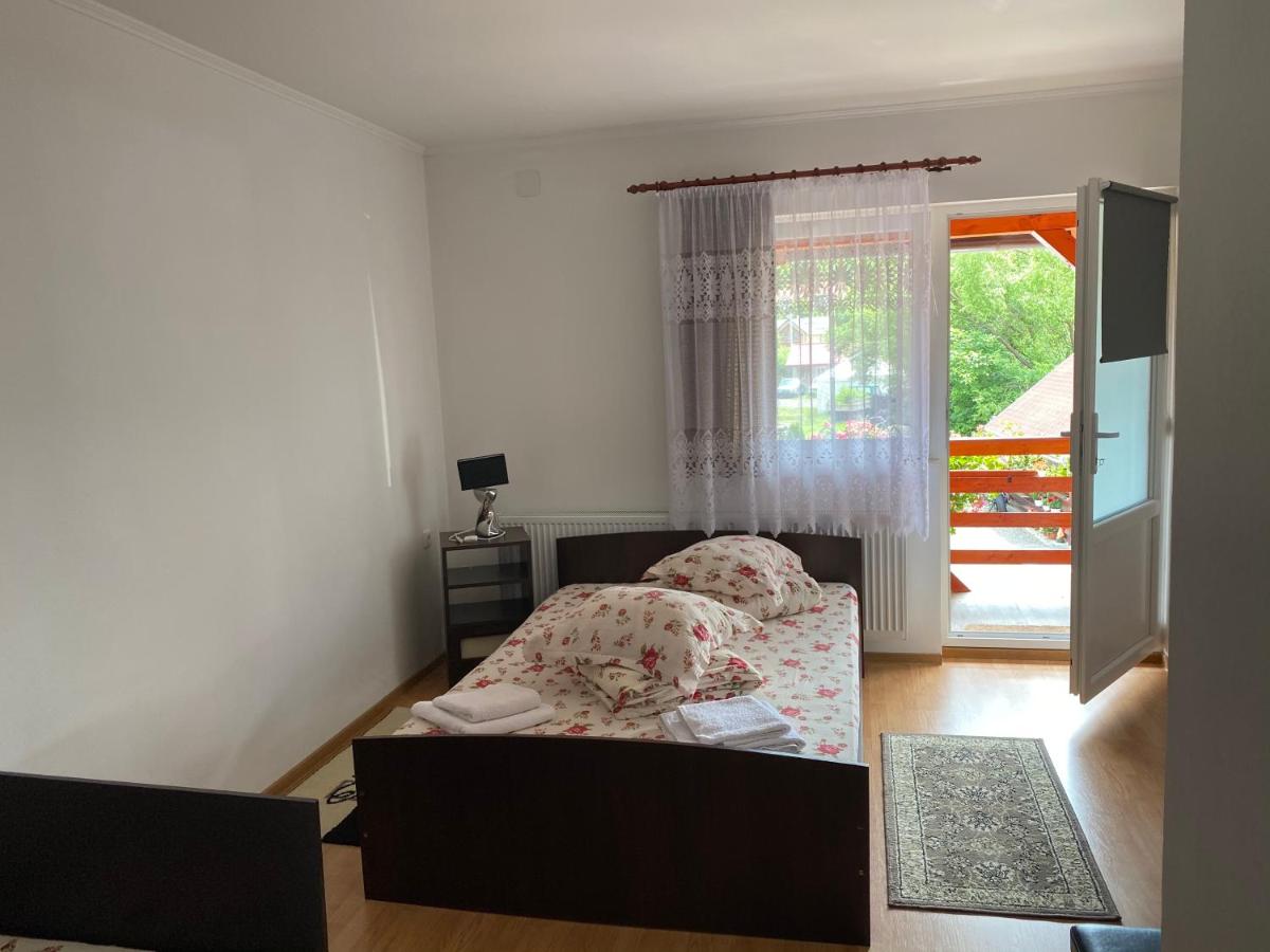 Casa Gabriela en Sovata