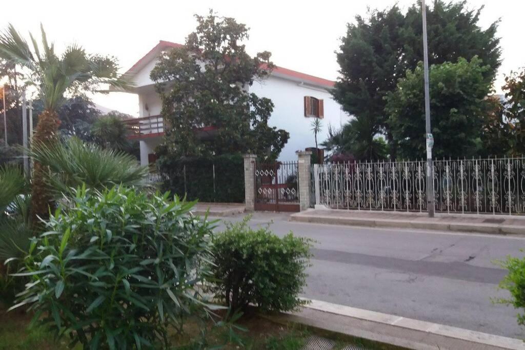 Photo 21