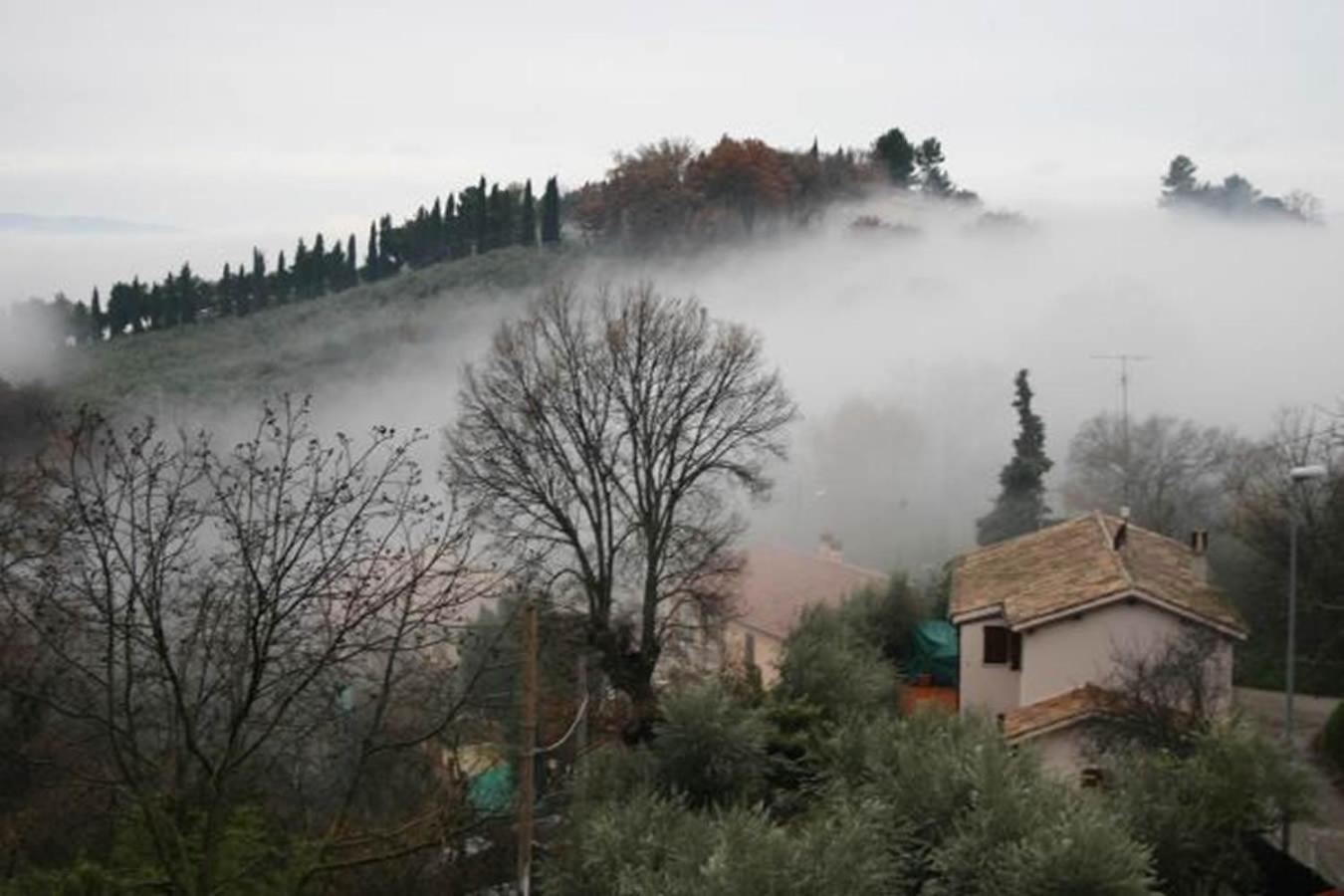 C&C Il Treggio view 2