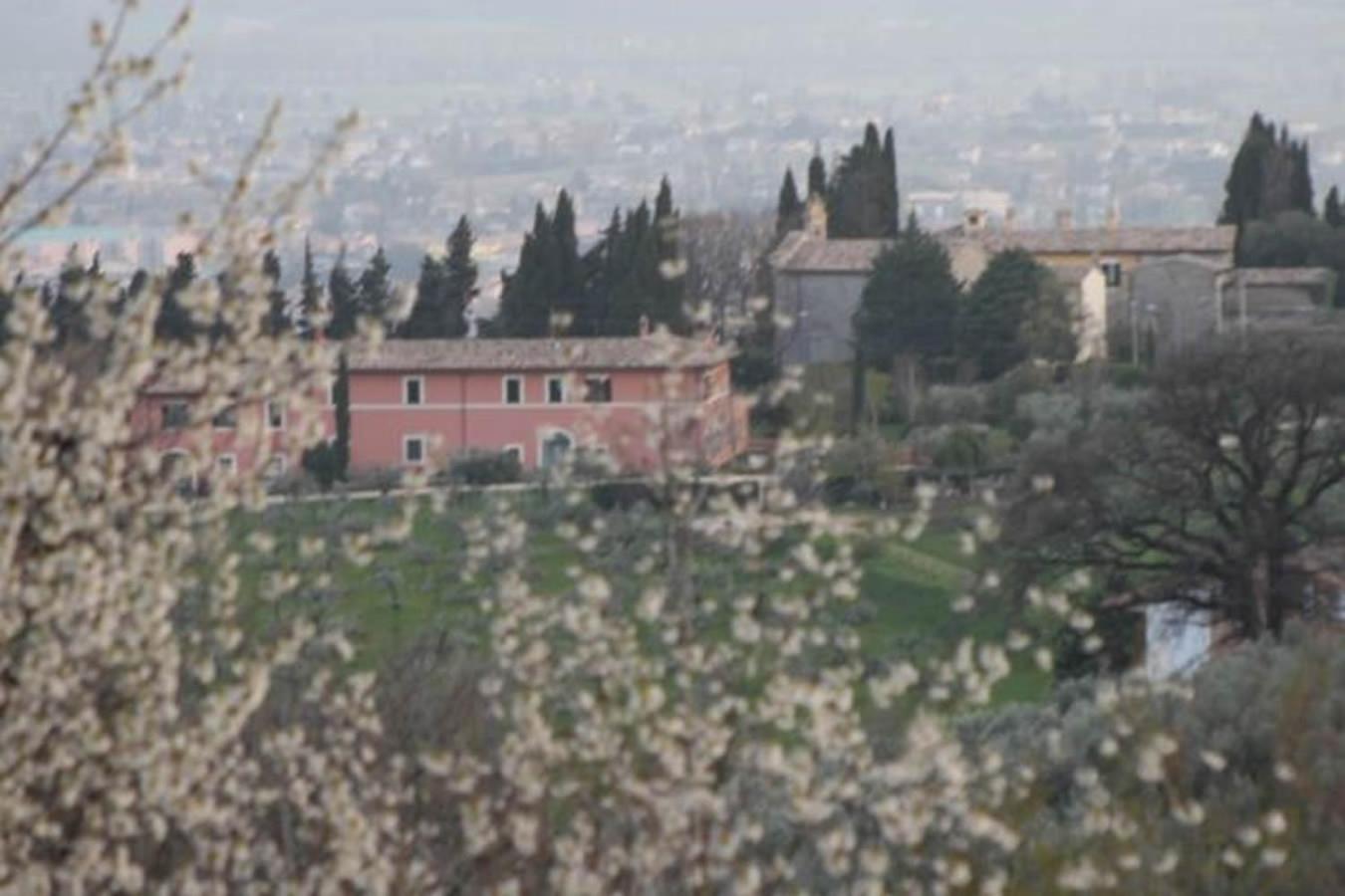 C&C Il Treggio view 3