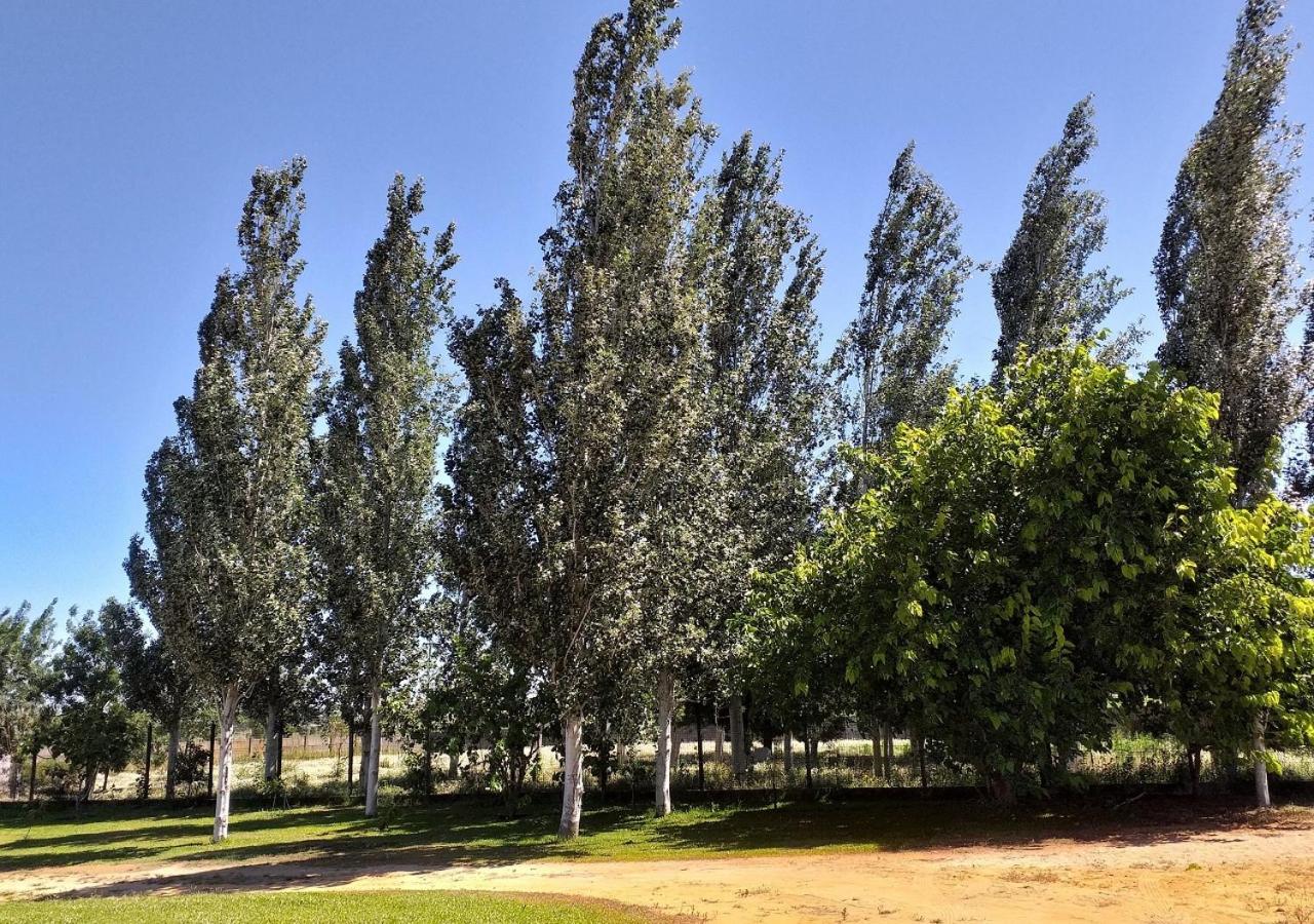 Photo 47