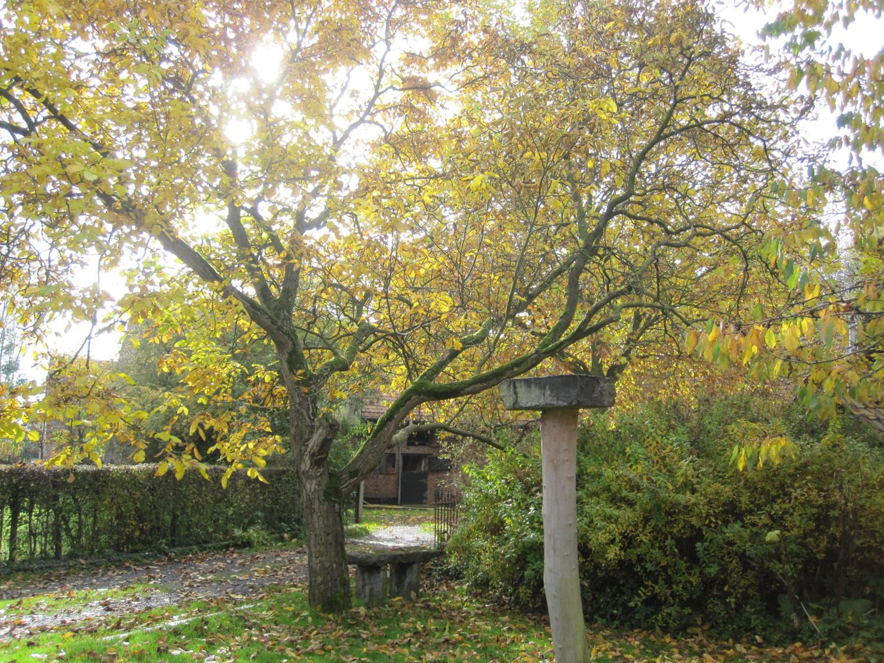 Grote Goesting holiday house