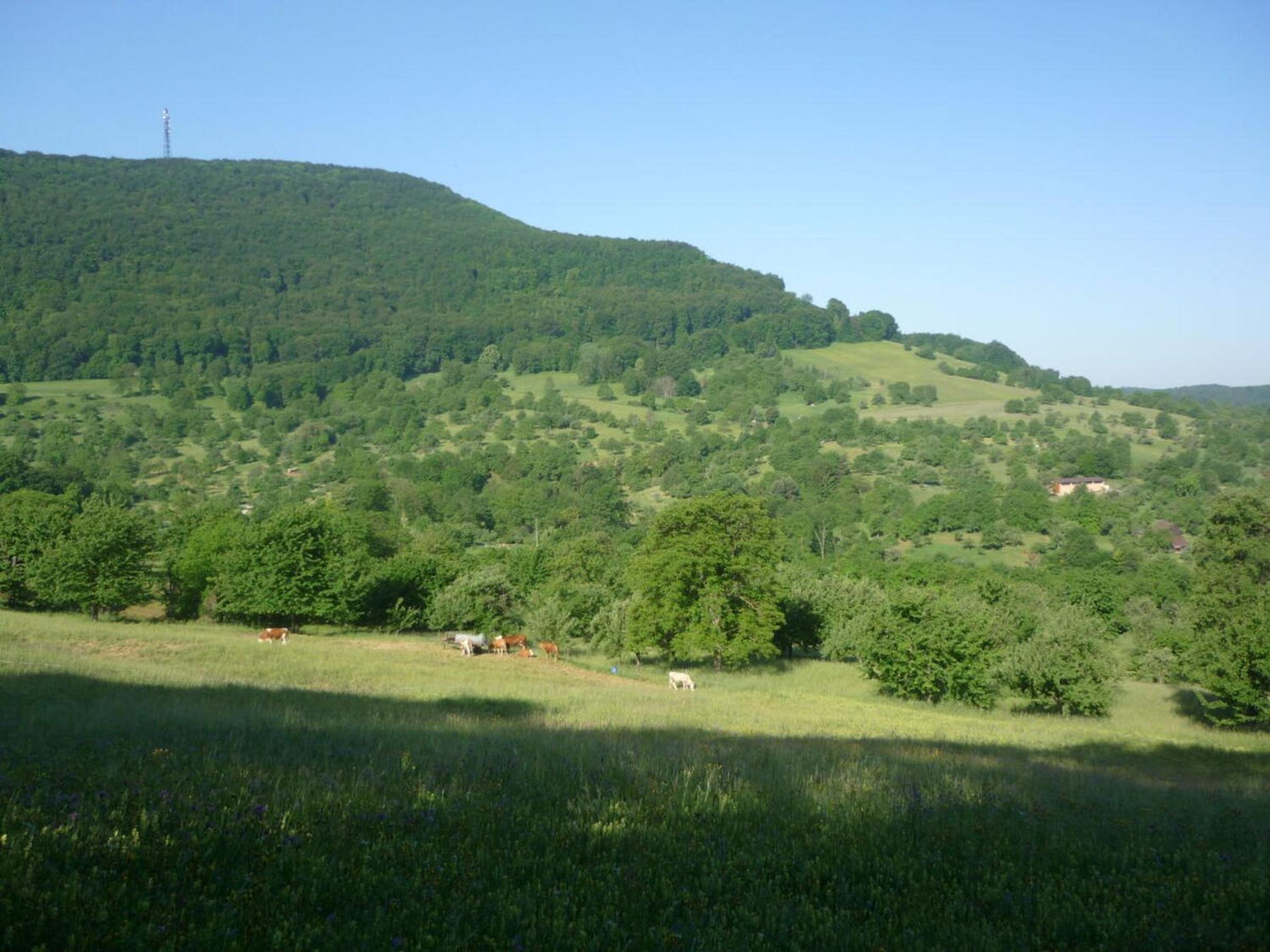 Ferienwohnungen Hubertus