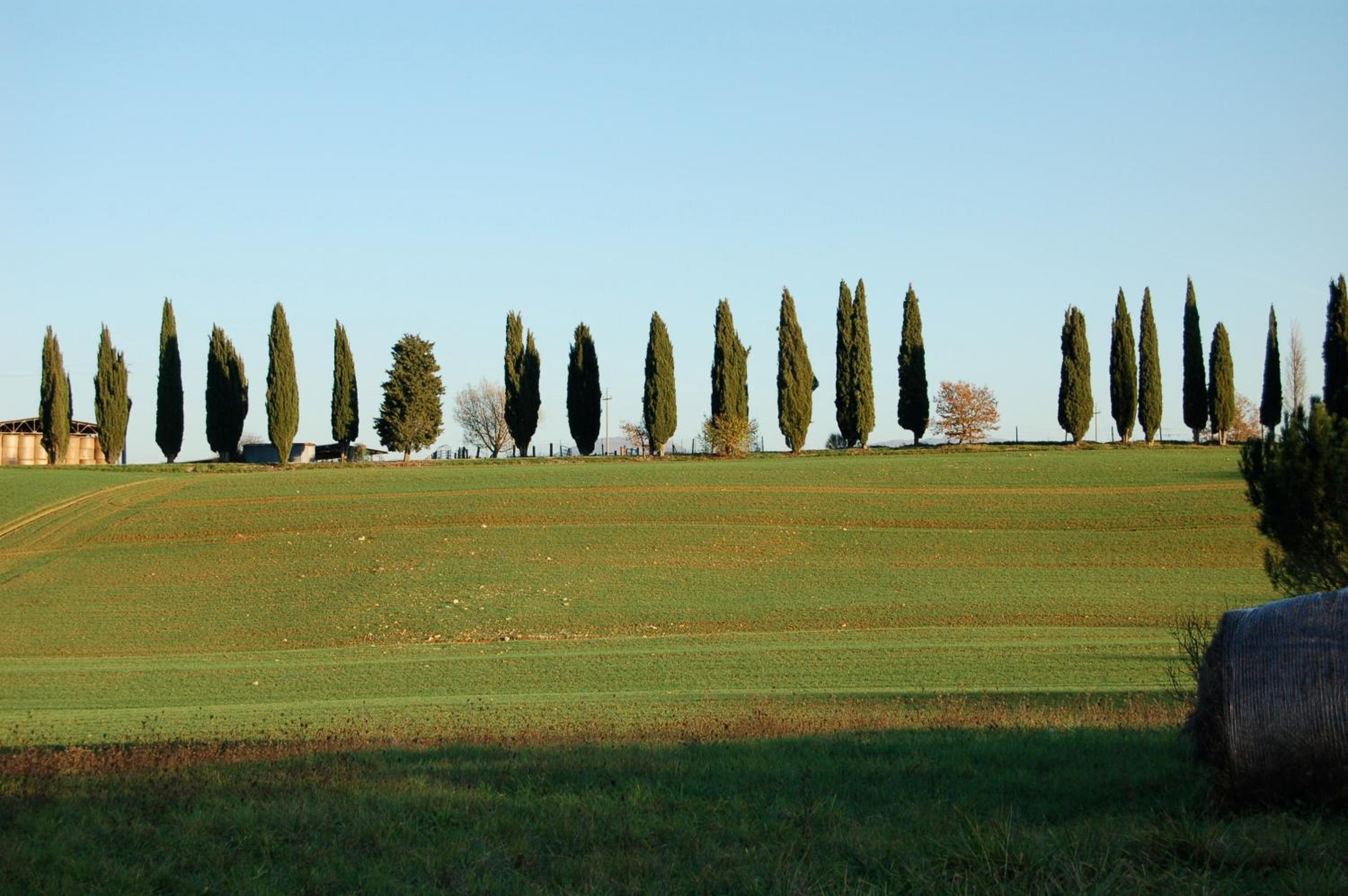 Agriturismo KeBio I Tenuta di Fassia view 5