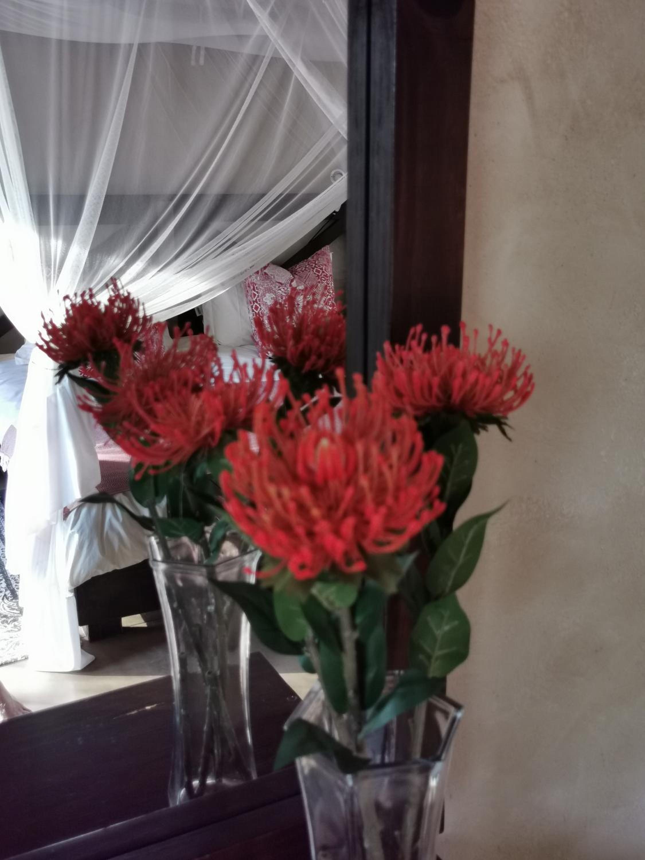 Thornhill Safari Lodge