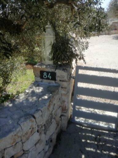 Photo 48