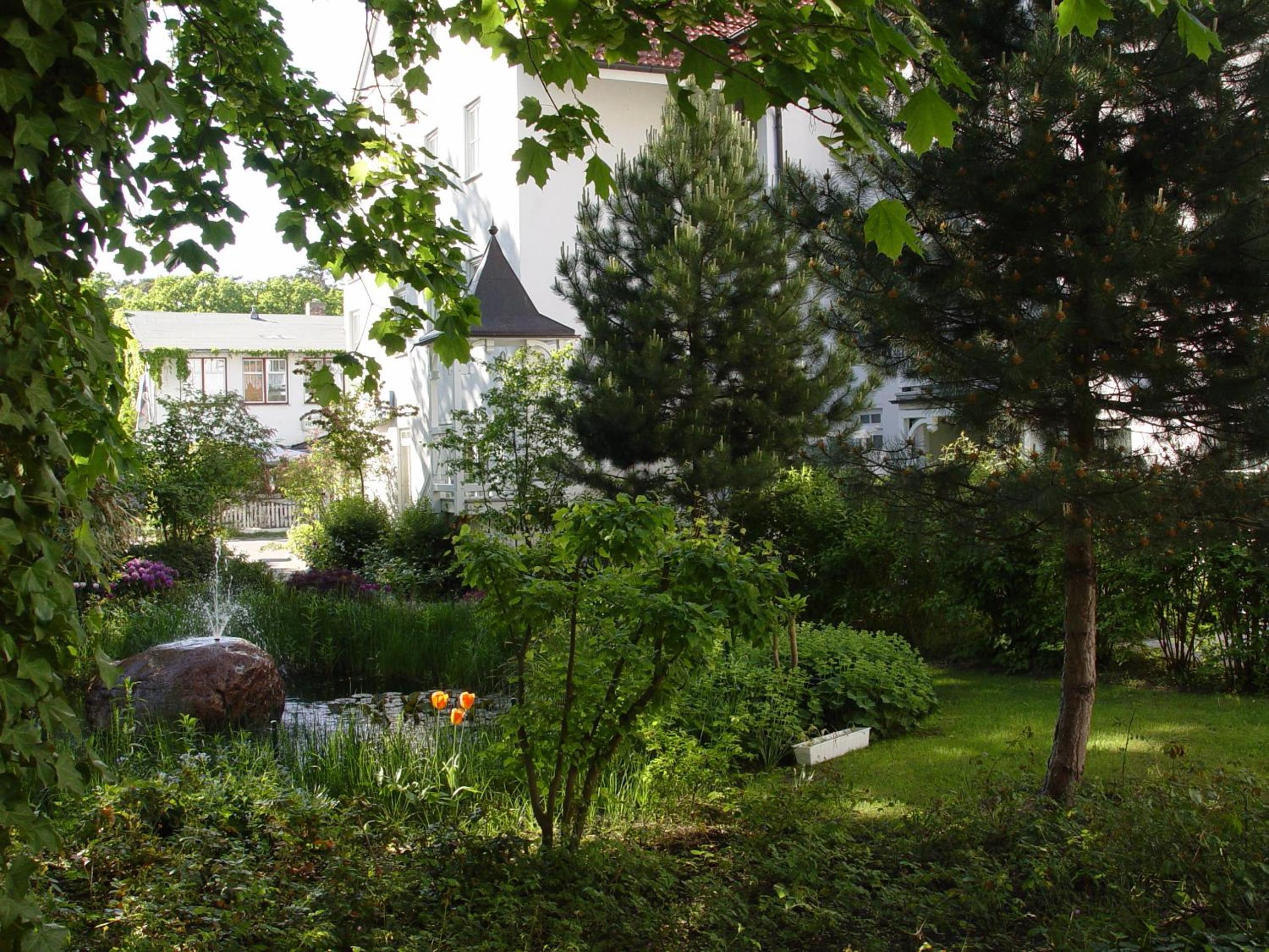 Photo 47