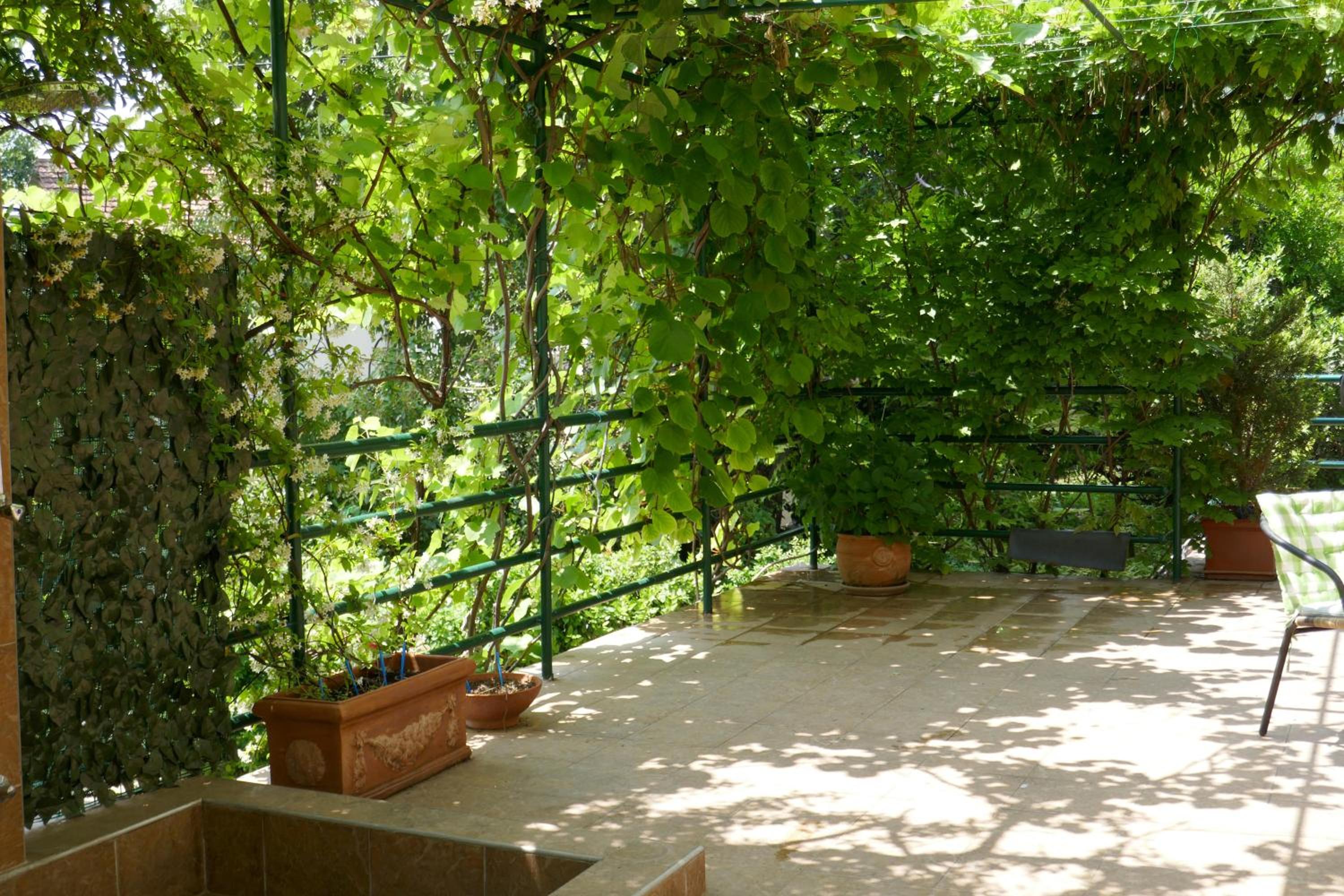 Photo 27