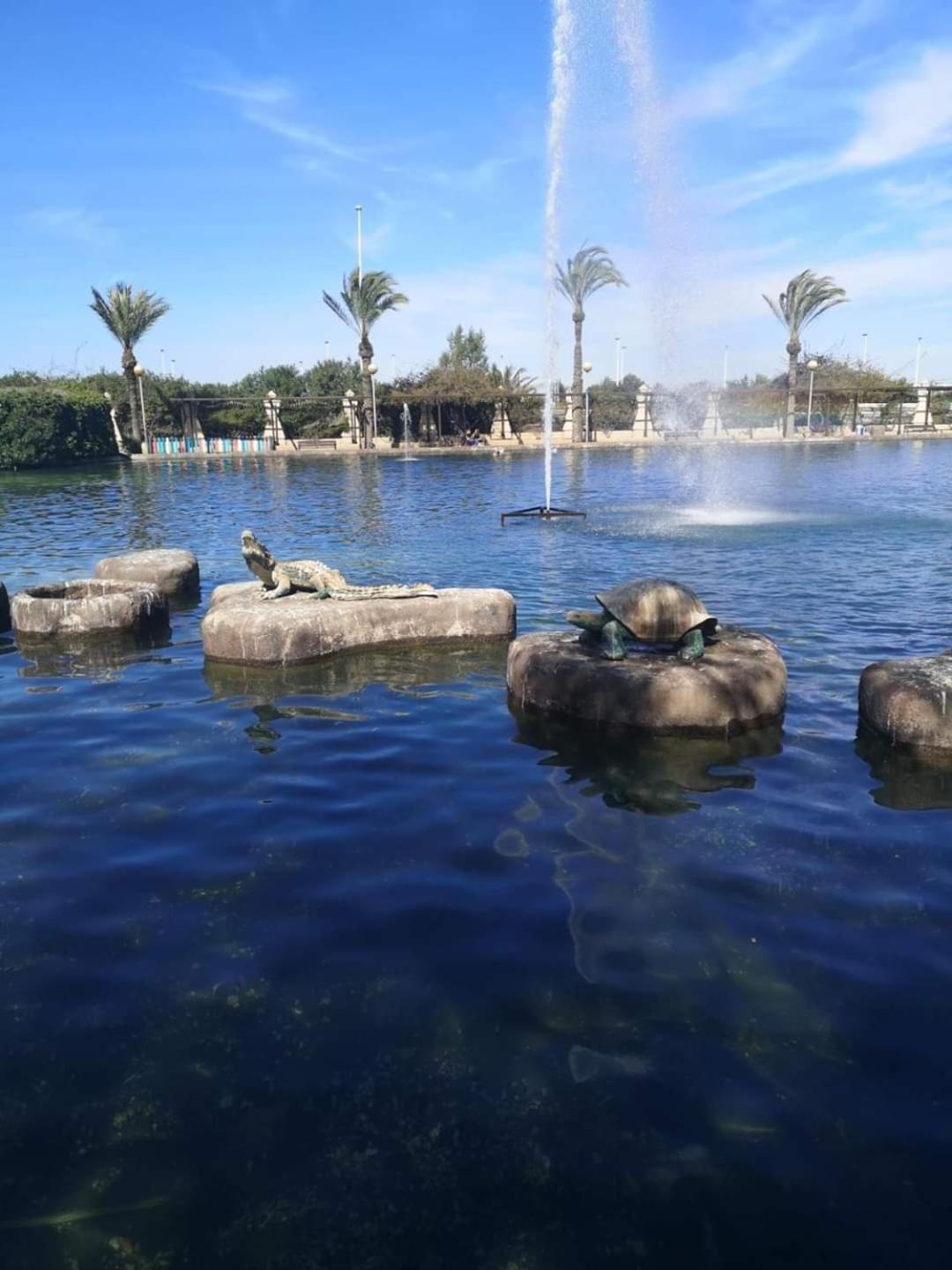 Beach apartment Torrevieja