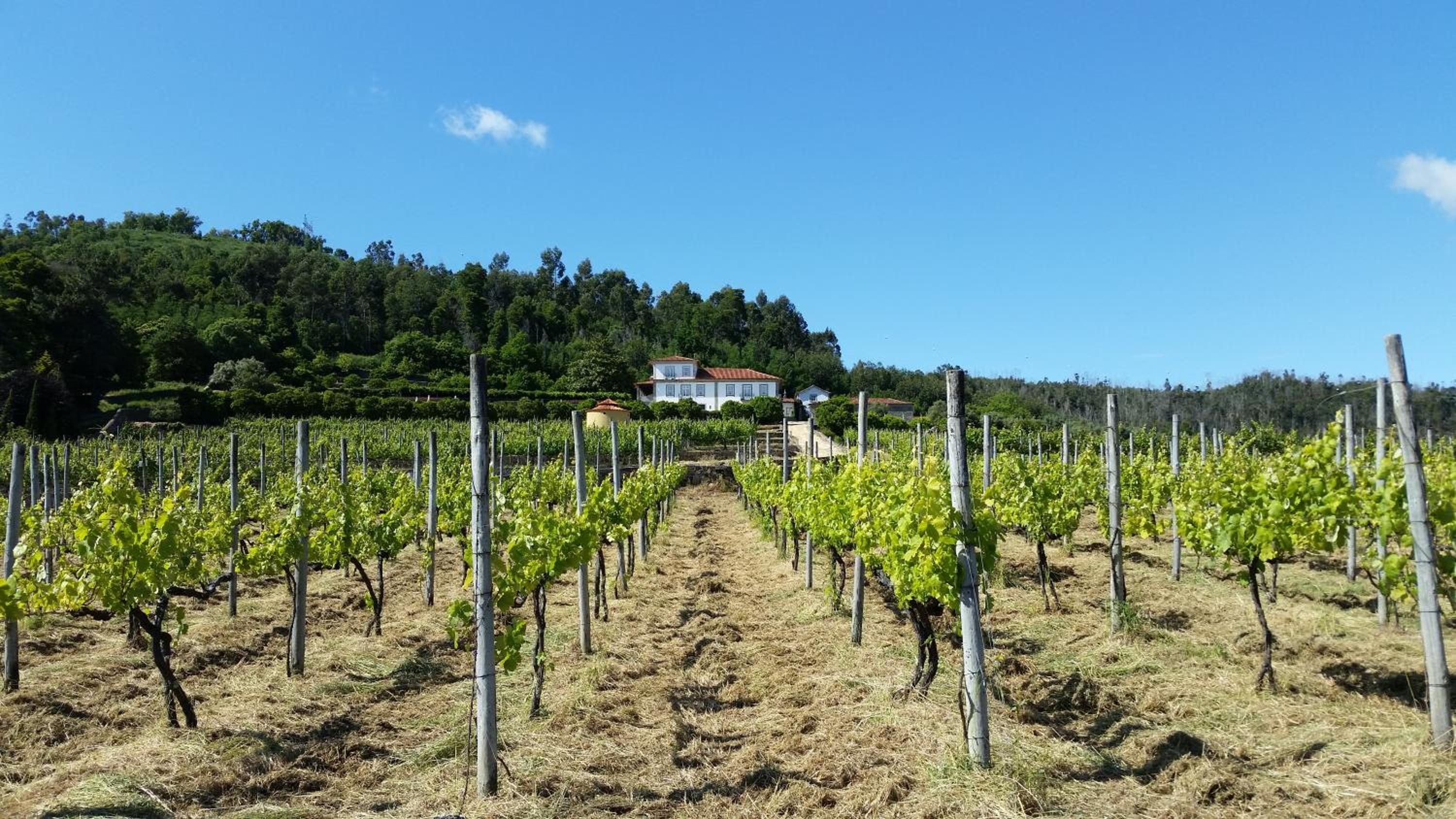 Casas do Monte de Roques